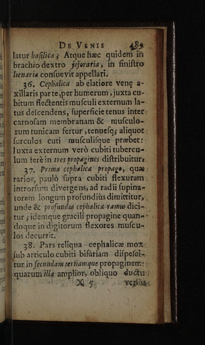 ! j | Dr VgNIS 495 ;|3 latur bafilica ; Atque hec quidem iü | brachio dextro jeeratia; in finiftto 41 lienaria con(aevit appellari. |^ 36. Cepbalica : ab elatiore vene a- I3 xillaris parte,per humerum , juxta cu- . 4/9 bitum fle&amp;entis mufculi externum la- 4| tus delcendens, (uperficie tenus inter: |'carnofam membranam &amp; — mufculo- 4f rum tunicam fertur ,tenueíc; aliquot: i * * y JW furculos cuti mufculifaue- praebet: : 49 luxta externum veró cubiti tubercu- 9Jf lum ferein res propagies diftribuiturz. 1 | 37. Prima cephalice | propage,. quae: | fari Wi introrfum divergens; ad radii fupina- i  4 * * * * | torem longum profupdiüs dimittitur, I- — *- —-. If1—X ij tur ; idemque gracili propagine quan» | doqne in digitorum flexores.muícu- I los decurrit. | 38. Pars reliqua - ceplialicee mox 8 fub articulo cubiti bifariam. diípefei- Wn NET . y» * /tur.in fecundam teriiamque propagtnem: - jf quarum ilig:ampliot, obliquo ductu: i S D Vezbas. XA cC—— £g t2 0m-— c LL 4 — c» m——— ET n—-—— —