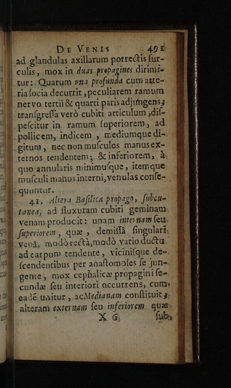 ' yu Dr VENIS 45 É ad glandulas axillarum porrectis fur- culis, mox in duas propagines dirimt- tur: Quarum tna profunda cum aste- riafocia decurrit ,peculiarem ramum neryo tertii &amp; quarti parisadjtngenss: peícitur in ramum (uperiorem, ad ternos tendentem ;. &amp; inferiorem, à quo annularis minimu/que itemque: rufculi manus interni, venulas confe- 4I. Alteva Bafilice propagn, fateu- tanta, ad fluxuram cubiti geminam venam producit: unam tinte fiam feu. fuperiore , quae ,. demilfà fingulari. vená, modórectà,modó vario ductu. ad carpum tendente , vicini(que de- (cendentibus per anaftomoles fe jun cundae feu interiori occurrens, Cufra» eadé unitur, acMedianam conftituit jg. alteram exierzam feu. infertorem: quee: EM os cS fe i t i ft mcd i USA re E) P Tr