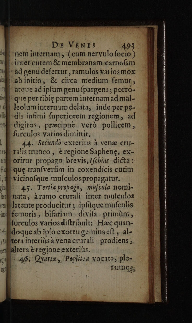 tiem internam , (cum nervulo focio) !-intet'cutem &amp; membranam. carnofíam «M - ad genu defertur , ramulos varios mox IW atque ad ipfum genu fpargens; porro- W. qe pertibig partem internam ad mal- a Jeolum internum delata, inde per pe- iM - dis infimi fuperiorem regionem, ad | digitos, precipue veró pollicem, | farculos varies dimittir. JR. A44. Secund exterius à venae ctu- | 1 ralistrunco , eregioneSaphene, ex- | orirur propago brevis, Ifcbias. dicta : | | | que tranfveríim in coxendicis cütim , I vicinofque muículospropagatur. 45. Tertia propago, mufcula nomi- nata, àramo crurali inter muículos W latente producitur; ipfifque mufculis iMfemoris, bifariam . divifa. primüm, Murculos varios diftribuit: Haec quan- doque ab iplo exortu gemina eft , .al- itera interisà vena crurali prodiens ; altera i éregioneexteriüs. 4$. Quarta. Poplitea vocatas ple- 1umqs; aa Ek afe ma f ma c ON t lii IN SES eg i'n iie