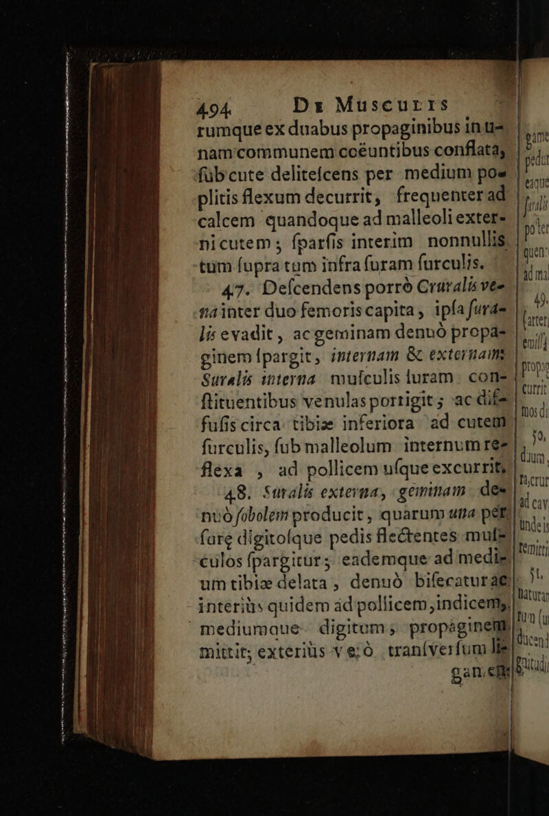 (——   wi 4.94. Ds Muscurrs rumque ex duabus propaginibus in tz nam'communem ccéuntibus conflata; plitis lexum decurrit, frequenter ad calcem quandoque ad malleoli exter- nicutem ; fparfis interim. nonnullis; tum fupra tam infra furam furculis. 47. Defcendens porró Craralis vee t'ainter duo femoriscapita, ipfa furae li evadit, acgeminam dennó propa- Suralis interna. mulculis luram | cone flituentibus venulasportigit; ac dif fufiscirca tibias inferiora ad cutem flexa , ad pollicem ufque excurrit, 48. Sualis externa, geminam. des nuo fobolem producit, quarum uma pere mittit; exteriüs ve;ó traníverfum lis gati; en |'pum: petu eique Judi pote Quen: ima $. farte emi] propr Currit ftos di 5o, dum, Tcrut M ca Uhdeis j UN