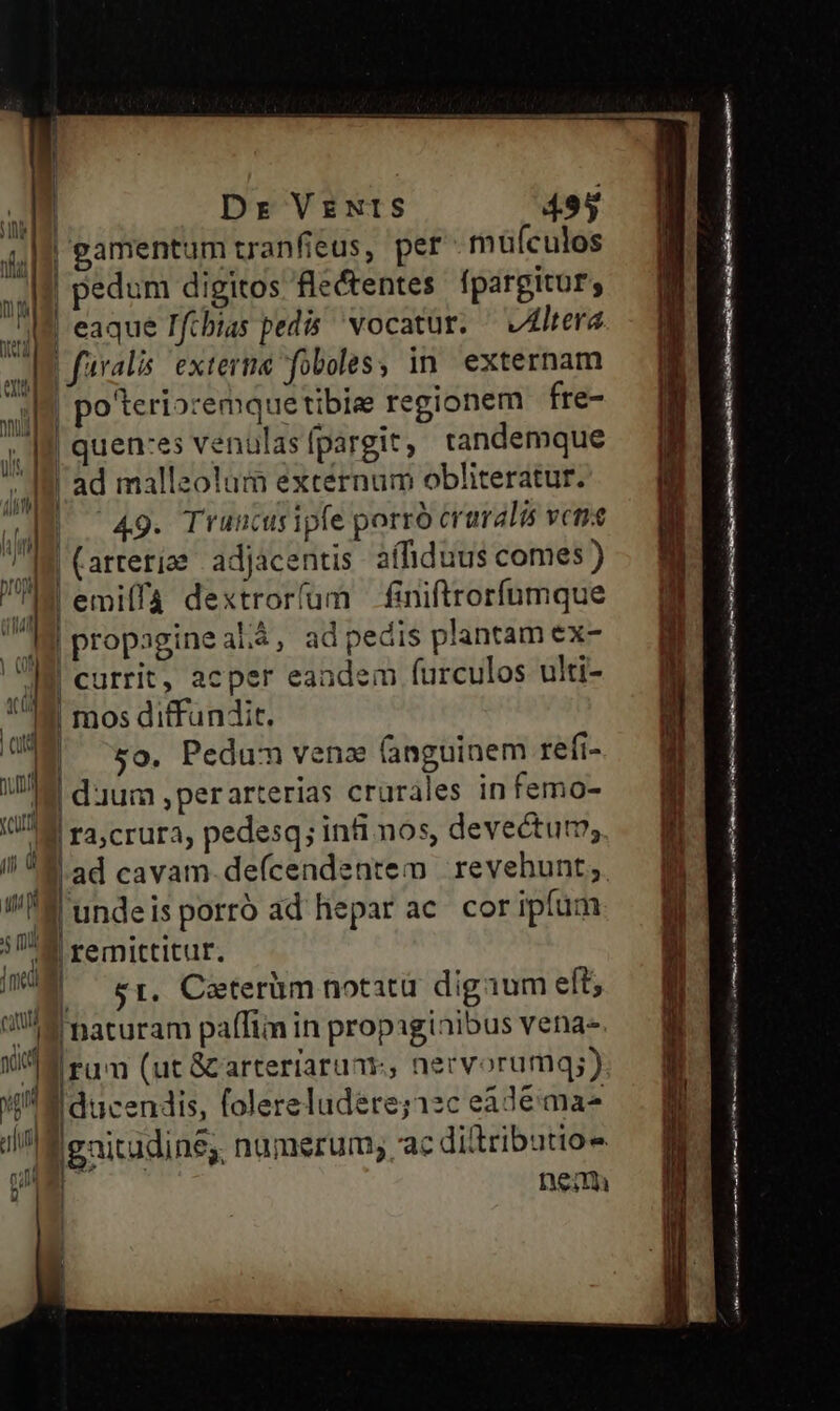 Jj | Dr VzNtIS 495 4|] gamentum tranfieus, per müfculos ; i | pedum digitos flec&amp;tentes fpargitur; iU UU |  . JAM eaque Tfcbias pedis vocatur. — altera | | favalis. exterme foboles, in externam Jd po'teriozemquetibiee regionem fre- 1 I quen:es venalas fpargit; tandemque A8 ad mallaolum externum obliteratur.  49. Truncus ipfe porró cravalis vcn TIR Carterie | adjacentis aífiduus comes ) | emiffa dextroríum finiftrorfumque | propagine al.4, ad pedis plantam ex- | currit, acper eandem (urculos ulti- f mos diffundit. 2E xo. Pedum venz (anguinem refi- n | duum ,perarterias crurales in femo- (M va crura, pedesq; infi nos, devectum, i| ^M ad cavam-defcendentem revehunt;. LJ. |undeis porro ad hepar ac cor ipfum » | remittitur. IM ^ er, Caterüm notatü digaum eft; dia naturam paffim in propaginibus vena- Y M ru (ut &amp;arteriaruar, necvorumq;) xn I ducendis, folereludere;12c eadé mae nMgaitudine, numerum; ac didtributio- i nem ————— P — * pc——Ó UE