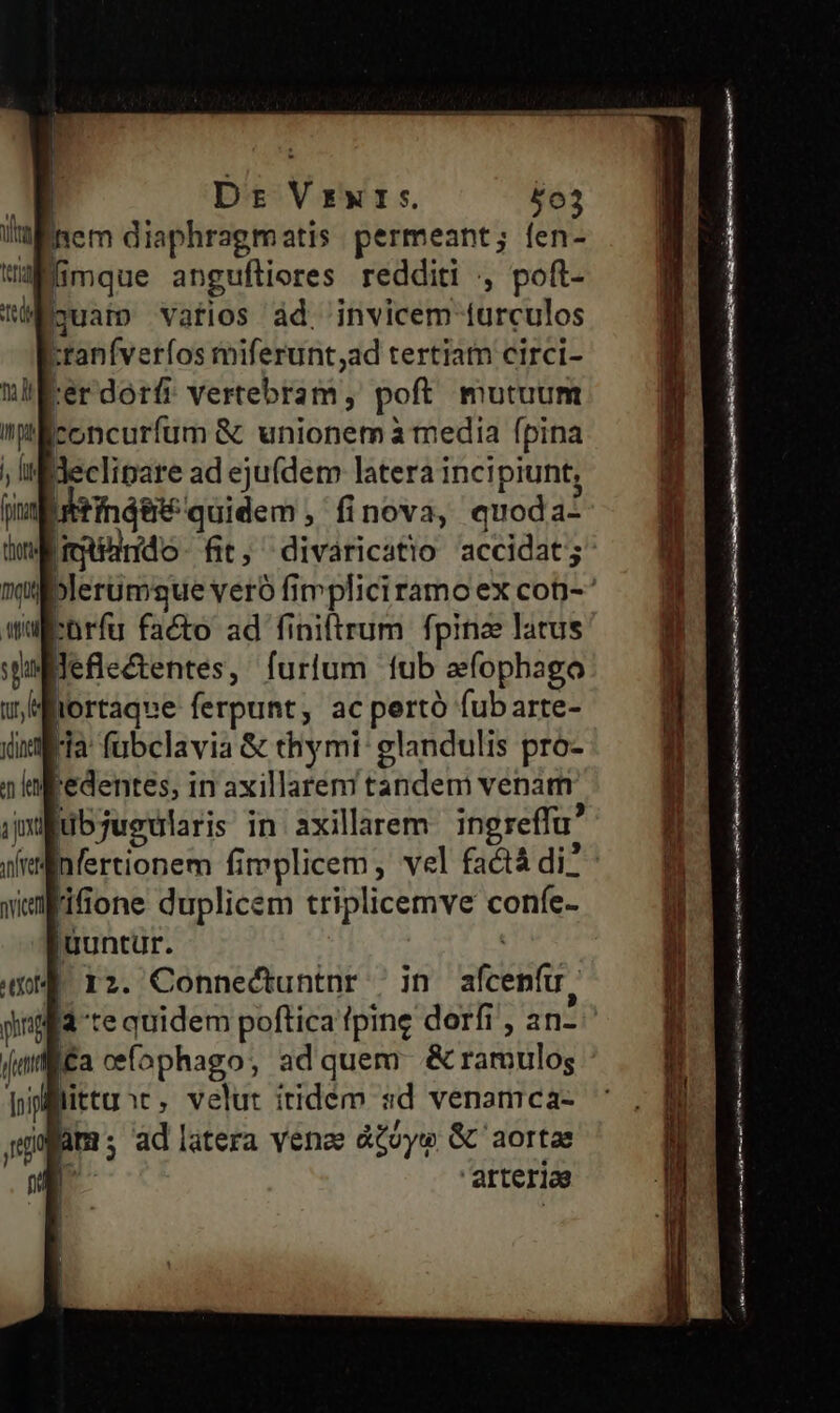 E Dr Vrwr:. £o3 l'üinem diaphragmatis permeant; fen- wa mque angufliores redditi , poft- Quam vatios àd. invicem turculos xranfveríos miferunt;ad tertiam circi- rer dorf vertebram,' poft. mutuum concurfum &amp; unionem à media (pina Wieclipare ad ejufdem latera incipiunt, Idtindéé quidem, finova, quoda: Hiunndo- fit; divaricatio accidat; blerümque veró fimpliciramo ex con- Pürfu facto ad finiftrum fpina latus Befle&amp;entes, furlum tub aefophago Tfiortaque ferpunt, ac pertó fubarte- [a fubclavia &amp; chymi: glandulis pro- 'edentes, in axillarem tandem venam libjusularis in axillarem ingreffu' nfertionem fimplicem, vel factá di^: fione duplicem triplicemve confe- uuntur. 12. Connectuntnr | jn afcenfu. . ' « r] 4 tequidem poftica fpine dorfi , an- ^ £a cefophago, ad quem &amp; ramulos littu»r, velut itidem sd venamca- oat; ad latera venee àZóye &amp; aortae T arteriae FANS READLAS erXQU UE LG. - n———— RR puu-———— ——s