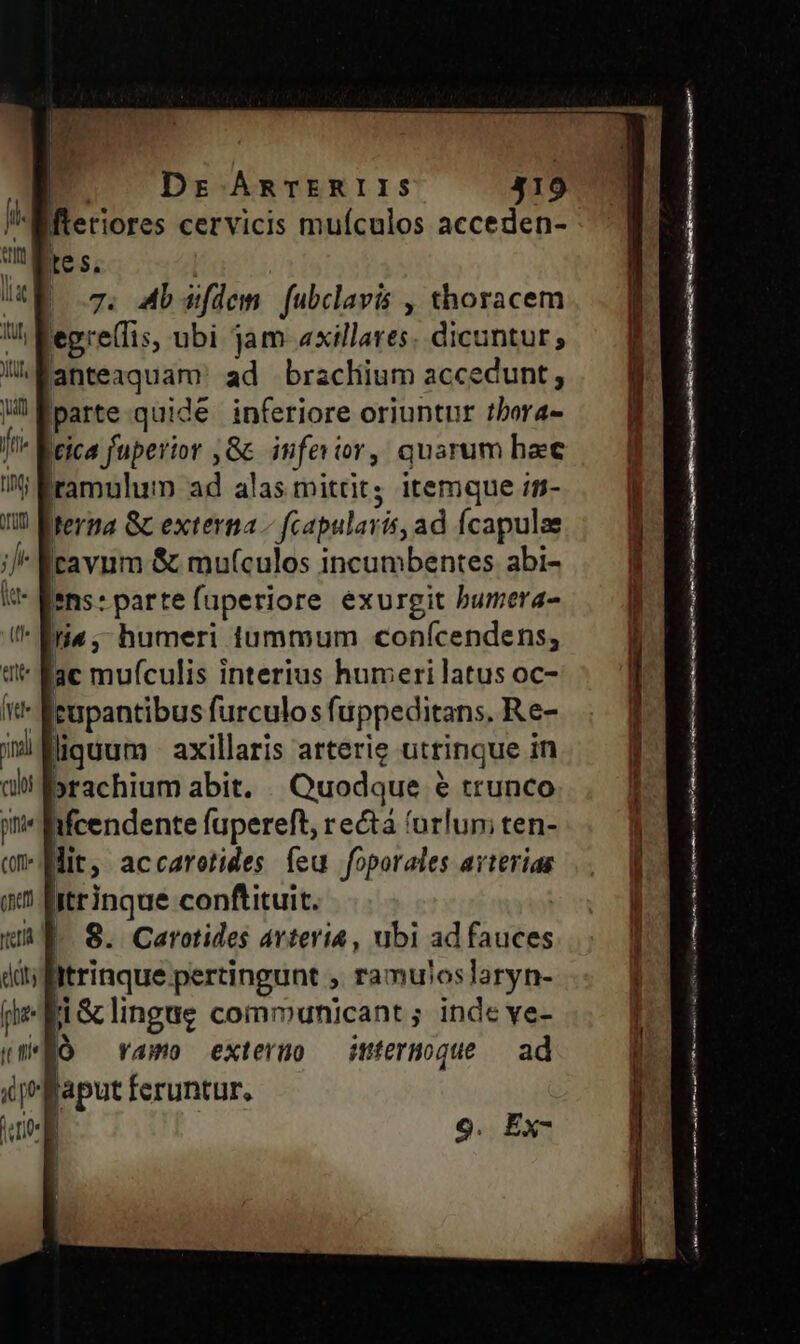 | Dr ÁmRTERIIS 419 WMteriores cervicis muículos acceden- tes, 7. Ab iifdem fabclavis , thoracem egrelfis, ubi jam axillares. dicantur , anteaquam' ad bracliium accedunt, |parte quide inferiore oriuntur tbora- tica juperior ,Gc inferior, quarum hec !Bramulum ad alas mittit; itemque ;s- terna &amp; externa - fcapularis, ad Ícapulae cavum &amp; mu(culos incumbentes abi- *ns:parteíuperiore exurgit bumera- i4; humeri tummum conícendens; ' fac mufculis interius humeri latus oc- tupantibus furculo sf uppeditans, Re- liquum. axillaris arterie utrinque in »rachium abit. Quodque 6 trunco ifcendente füpereft, rectá (urlun; ten- Mit, accaretides fea foporales arterias itrinque conftituit. | 8. Carotides avterie, ubi ad fauées Itrinque pertingunt , ramulos laryn- d&amp;lingue communicant ; inde ve- «MÓ ramo exteruo —imtermogue — ad aput feruntur. — GÀ 0€ o DELL