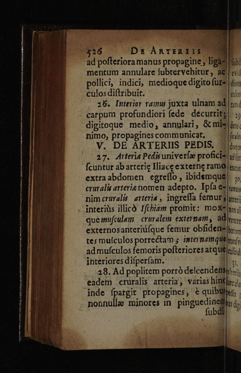 sve et Mant CR m eta imei me o M IH Hn Rs e n mn M M a Itm n n s amt — , mm manh at rn hm sia t gn et lr DIT eren ad poflerioramanus propagine ; ligas mentum annulare fubtervehitur, aei pollici, indici, medioque digito fure | ii culos diftribuit. | tulo 25. Interior ramus juxta ulnam ad |i T dens digitoque medio, annulari, Gcmils nimo, propagines communicat, frd V. DE ARTERIIS PEDIS. i 27. Arteris Pedis univerfa proficis 4j; fcuntur ab atterig Hiace externe ramo ec; extra abdomen. egreffo , ibidemque] ;, cruralt avterisnomen adepto. Ipfa ei, nimcrürelis arteria , ingreffa femurgla; interius illicó Ifcbia protnit: moXe n. queimüfculem | cruralem externam, ado. externosanteriüfque femur obfidene i. tes mulculosporrectam 5. intevmamqtiétc. ad mufculos femoris pofteriores atque]; üu