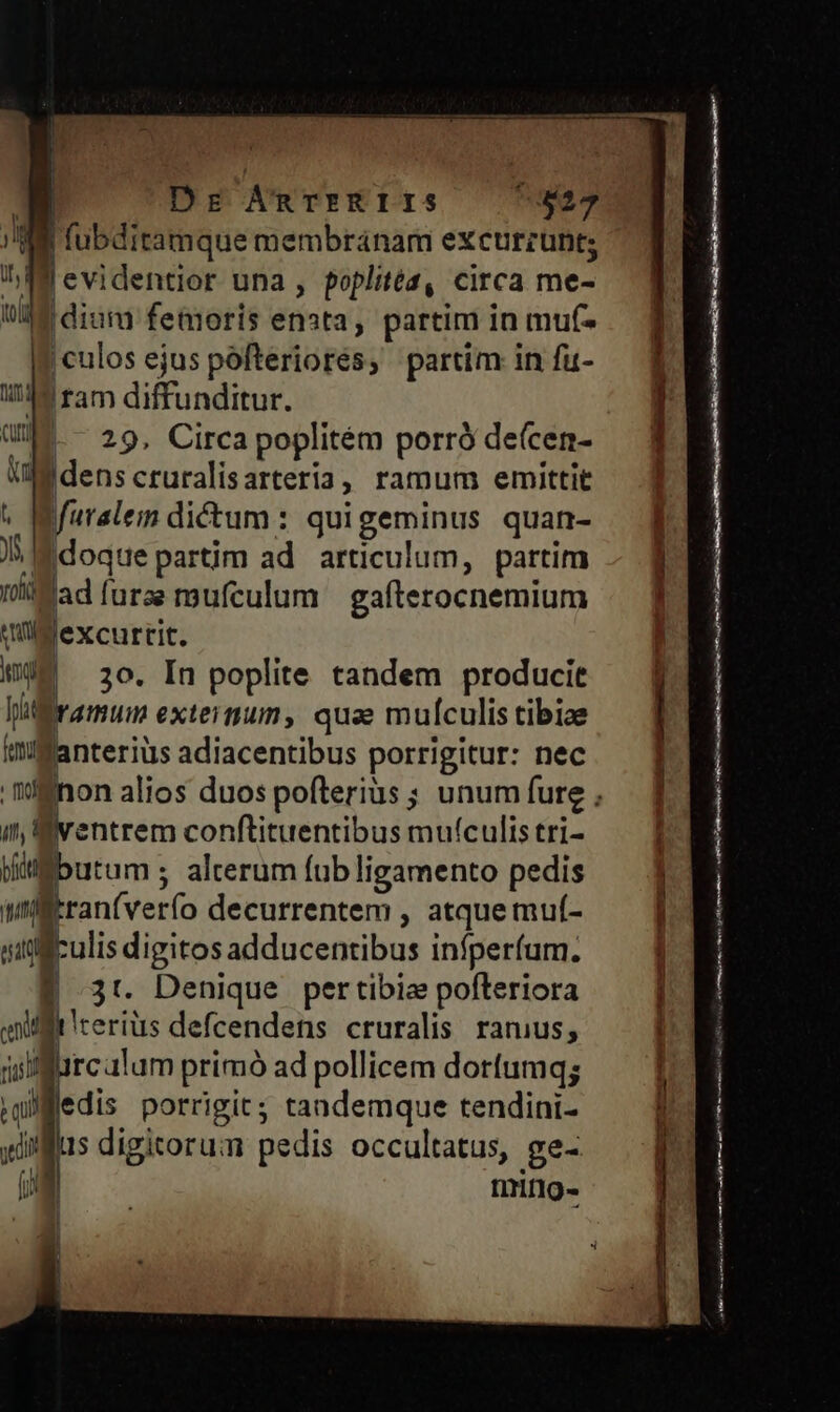 Dr AnTFIRIIS EIL, [ | ! | | | | - 29, Circa poplitém porró deícen- Idenscruralisarteria, ramum emittit faraleim dictum : quigeminus quan- JS IE doque partim ad articulum, partim Mad urs mufculum | gafterocnemium qlllexcurtit. «94 30. In poplite tandem producit [ramum exteimum, quae mulculis tibiae tillanteriüs adiacentibus porrigitur: nec in, ventrem conftituentibus muículis tri- Vitibutum ; alterum fub ligamento pedis willtrantverfo decurrentem , atque mufí- sitilculis digitos adducentibus infperfum. | 3t. Denique pertibiz pofteriora qt irerius defcendens cruralis. ramus; arcalum primó ad pollicem dortumq; edis porrigit; tandemque tendini- is digitorum pedis occultatus, ge- nring- p