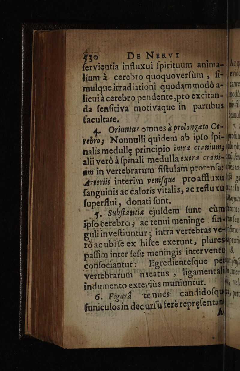 €——— I ————— RP —— ——— ——— T Ó—Ó /— ——É— af Len datte en NÓconi io etg a Mott etn miae qe mh nn a ttt ——— a2 Bitit Acte nodi mif Wang) $19 | Dr NsRVI fervientia influxui fpirituum: anim lium À- cerebro quoquoverfüm , fi* mulqte irrad istioni quodammodó a* licuià cerebro pendente,pro excitan- da fem(tiva motivaque in partibus facultare. : . Oriutiti omnes à prolougato Ce- yebro; Nonnulli quidem ab iplo Ipi- nalis medullg principio intra cram ibi pli alii veró à fpinali medulla extr crati- | fer qn in vertebrarum fiftulam proren(ar Anreriis interim venifque. proaffluxu Ii. p; fanguinis ac caloris vitalis, 2c reflu xü t: 4. Subflantia ejaldem (ant | cümitn: ipfocerebra; ac tenui meninge : firisiín; aliinveftiuntur ; intra vertebras Ye*liímo. PSacubiíeex hifce exerunt, plurestproi paffim inter feft meningis interventü| ?. - corlfociantut : Egredieare(que p&lm(i( vertebrarami nyeatus ;' ligamentallonir indumento extei'ius muniuntür. ' ^9 rd $6. Figurd. tenues -candido(q füniculosin decur/u fere tepre(enta