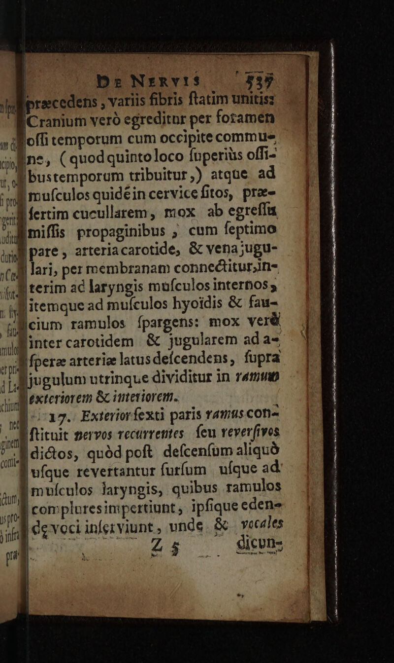 m ree o De Nrnvi$ — 335 Ir raecedens , variis fibris ftatim unitisz ICranium veró egreditur per foramen sil offi temporum cum occipite commue line; ( quodquintoloco fuperiüs offi- joy bustemporum tribuitur,) atqüe ad «i mufculos quidéin cervicefitos, prae- fertim cucullarem, mox ab egreffu miffis propaginibus , cum feptimo Ipare, arteriacarotide, &amp; vena;ugu- lari, per membranam conneétitur;iri- (uf terim ac laryngis mufculos internos; - itemque ad mufcules hyoidis &amp; fau- gicium ramulos ípargens: mox ver&amp; intercarotidem &amp; jugularem ad a- Efperee arteriee latus deícendens, fupra uk : dnpagge ; [jugulum utrinque dividitur in r4ttitp | | | | m dug dl : | jr | complures inpertiunt; ipfique edens ug e voci infe: pra m————Ó— M E n————MáÁ A — — Rn: itn