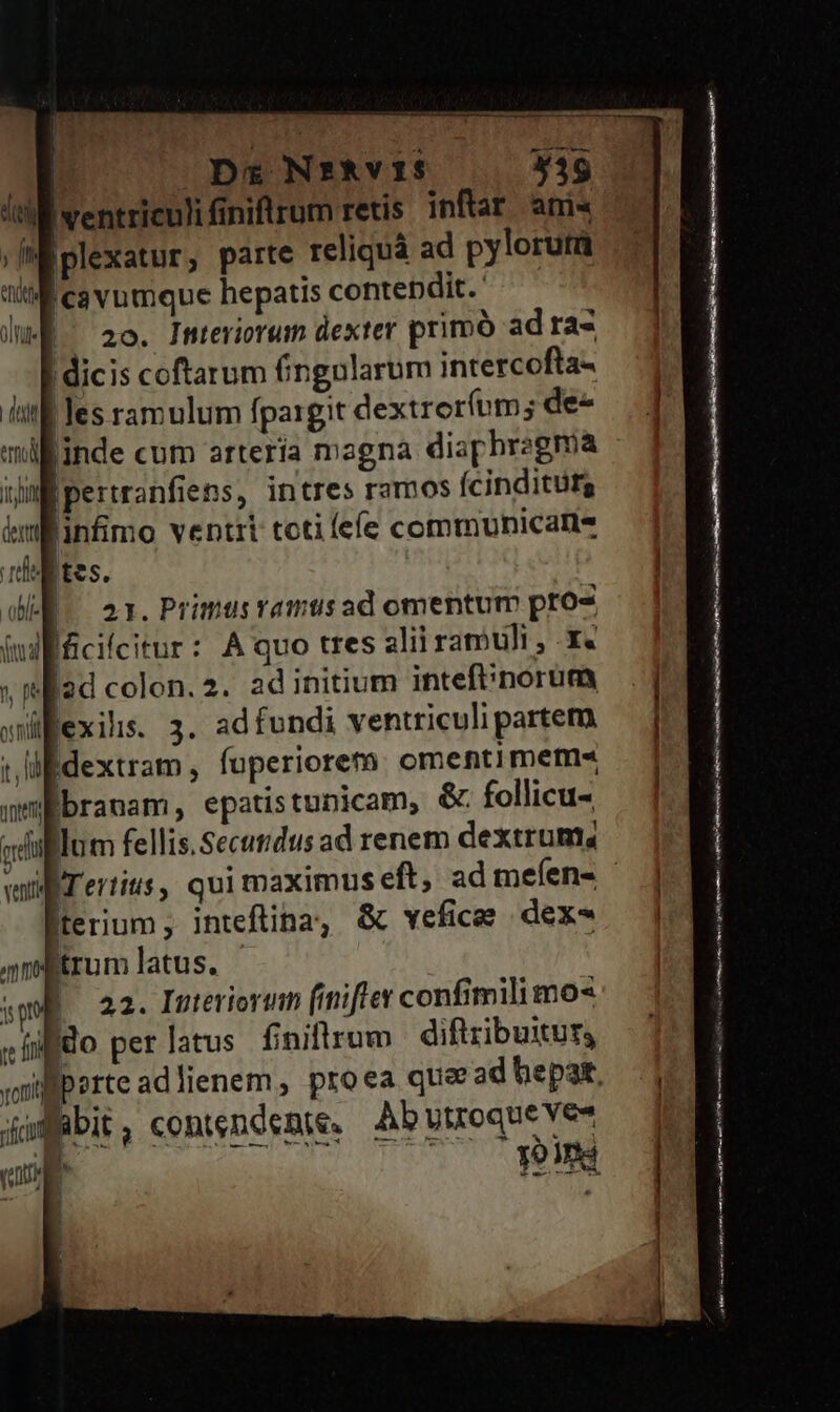 | Dx NEIAvIS *446 sek Iwentriculifiniflrum retis inftar ami« ;IMiplexatur, parte reliquà ad pylorutü tit cavumque hepatis contepdit. lE ^ 20. Interiorum dexter primó ad ras dicis coftarum (ingularum intercofta- |les ramulum fpargit dextroríom; de- linde cum artería magna diaphregma |pertranfiens, intres ramos Ícinditutg infimo ventii tcti íeíe communicari |tcs. q. 2r. Primus vamtis ad omentum pro- tllficifcitur: A quo tres alii ramuli, .X« v 2d colon. 2. adinitium intefinorüm »üfexils. 3. adfundi ventriculi partem. ;, lif dextram, fuperiorem: omenti mem ambranam, epatistunicam, &amp; follicu- lum fellis.Secutidus ad renem dextrums ett emu irn dent gei Veill terium, inteftina, &amp; vefice dex- antrum latus. sm. 22. Interiorum (iniflex confimili mos sf] do perlatus fniftrum diftribuitur, jaWfbit, contendeme. Ab vtroque veo 2m sí a sant j^ (fit : ; ——— pe