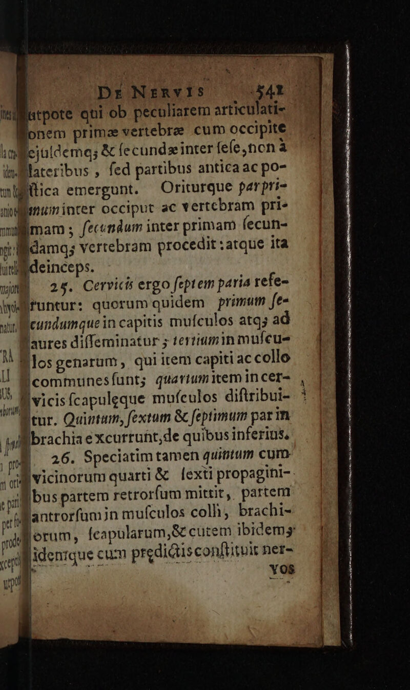 Dr NErRvIS T7h. istpote qui ob peculiarem articulati- onem primae vertebrae cum occipite ia fejaldemqs &amp; fecundseinter fe(e, tcn à infllateribus , fed partibus anticaac po- wifilica emergunt. — Oriturque parpri- dflsmum inter occiput ac vertcbram prie mam ; fecindum inter primam (ecun- «ll idamq; vertebram procedit :atque ita udlfdeinceps. wn 25. Cerricis ergo feptem paria refe- lw funtur: quorum quidem primum fe» n xleundumque in capitis mufculos atq; ad | a B aures diffeminatur ; tertiumin mufcue 1 Mlosgenarum, qui item capiti ac collo ie Icommunesfunts quariumitem in cer- t , T e 5 ' * ^ iaa Vici (capulgque mufculos diftribui- ftur. Quintum, fextum &amp;c feptimum par m hl Ibrachiaexcurtuht,de quibus inferius, l 3: . .  ^w. 26. Speciatim tamen quintum cum jl bus partem retrorfum mittit, partem ifantrorfum jn mufculos colh, brachi- T . *  e lidentque cum predidisconftituir ner- 1! Yos ve dao —— ( aa