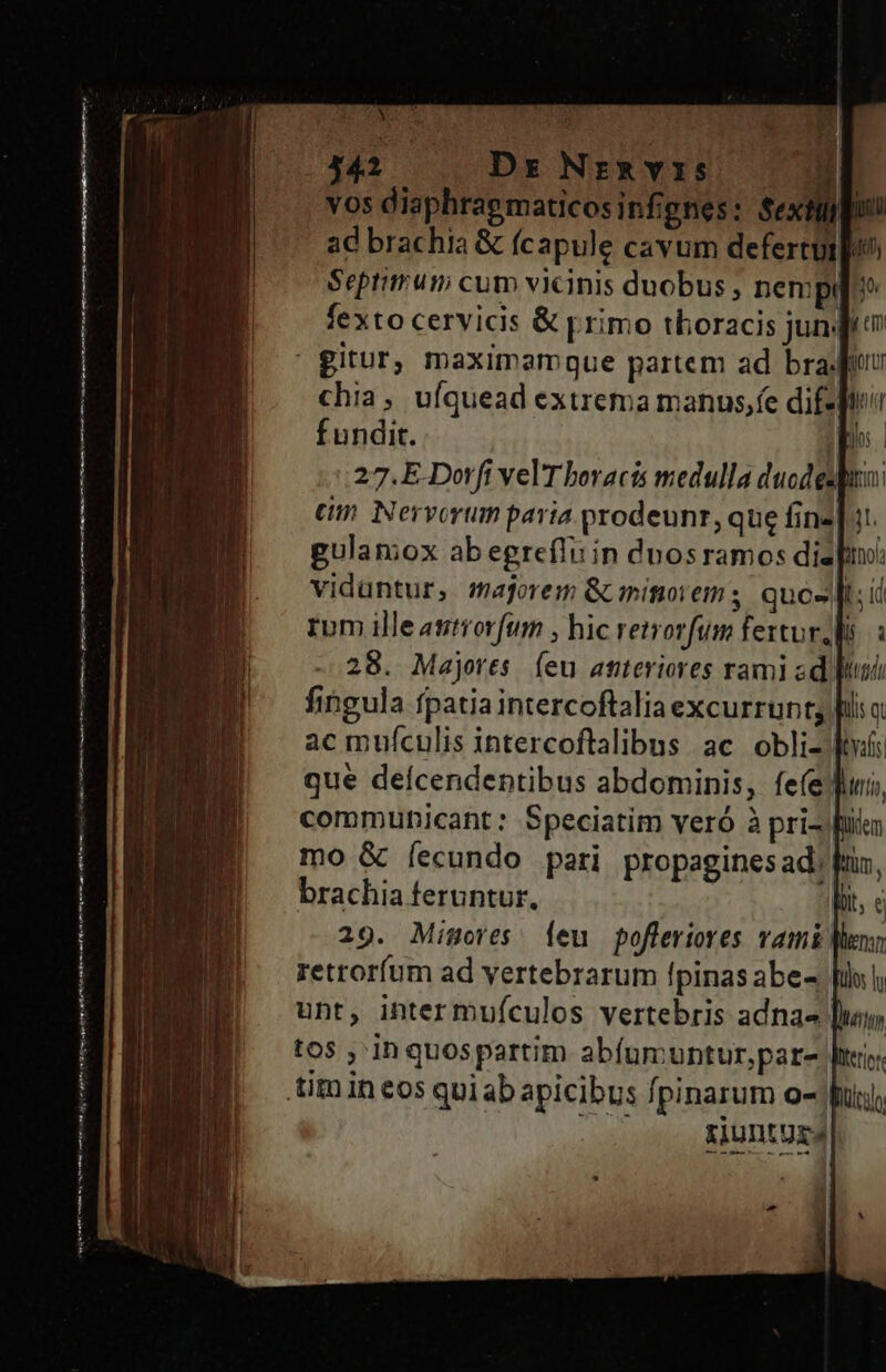 ——R————— MÀ MÀ Á [BIB ED BRA REA -— inet meme ma csrmenmar cmn im oj n te en NE Acme oe t a n ttim mime a mtr mna Rm .442 Dz Nr&amp;vis — |) vos disphragmaticosinfignes: Sextio ad brachia &amp; (capule cavum defertui|u^ Septimum cum vicinis duobus , nempt fexto cervicis &amp; primo thoracis jun4 chia, uíquead extrema manus,fe dif- fundit. p 27.E.Dorfi vel T boracis medulla ducdes]uo: en. Nervorum paria prodeunr, que fine] it. gulamox ab egrefIiiin duosramos dis imo vidüntur, majorem Gmitorem; quos [t.i rom ille atitrorfum , hic retrorfum fertur li. : 28. Majores feu atiteriores rami ad Bu fingula fpatia intercoftaliaexcurrunt; fiis: ac mufculis intercoflalibus ac obli- fors que deícendentibus abdominis, fe(e Muni, communicant: Speciatim veró à pri- ful mo &amp; fecundo pari propaginesad; ftis, brachia feruntur, bit, à 29. Misores. leu pofleriores vami Very, retrorfum ad vertebrarum fpinas abe- unt, inter mufculos vertebris adna« [hui tos , in quospartim abfumuntur,par- Jti; Xiunturs