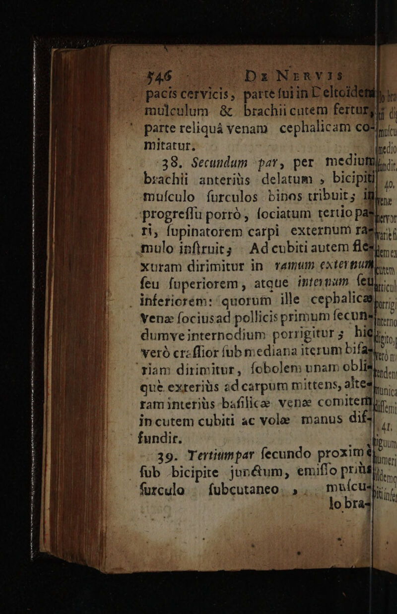 bo so Mis pacis cervicis, parte fuiin E eltoidetil mulculum &amp; brachii cutem ferturgi parte reliquá venam | cephalicam cos mitatur, | 38. Secundum par, per. mediute brachii anterius delatum ; bicipitl muículo furculos binos tribuit; ij progreffu porró, fociatum tertio pas ri, fupinatorem carpi externum rag. mulo infiruit; | Ad cubiti autem fles xuram dirimitur in TAmum extertiun feu fuperiorem, atque intermum. ege Venz fociusad pollicis primum fecums dumveinternodium porrigiturg bip. veró cr:flior (ub mediana iterum bif: * qué exreriüs ad carpum mittens, altes ram interius bafilicae venoe comiterfi incutem cubiti ac vole manus difs