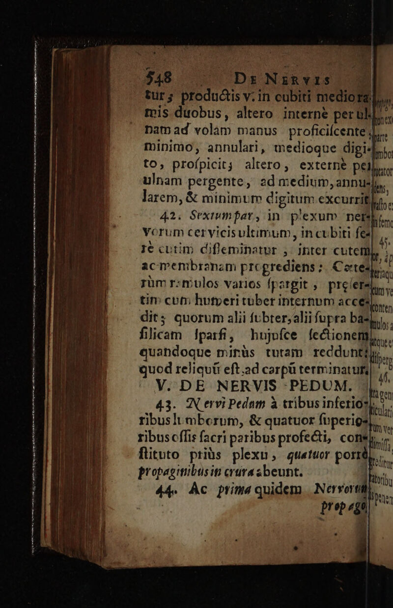 ($48 Dr NimRvis io) tur; productis v. in cubiti mediora]. mis duobus, altero interne per bl] Damad volam manus proficiícente, minimo, annulari, medioque digisr. to, profpicit; altero, externe Pel: ulnam pergente, ad medium,annu: larem, &amp; minimum digitum excurrit] 42. Sexiwmfar, in. plexur nets Yorum cer vicisultimum, in cubiti fe 1e cutim difleminatur ,. inter cutem acmembranam prcgrediens ;. Cote rüm r:mulos varios pargit ;' prelere tim com hutperi tuber internum acce? dits quorum alii fvbtersalii fupra baz filiram 1parfi, hujofce fectioneng) quandoque mirüs turam reddunt, quod reliqui eft.ad corpü terminatuf; V. DE NERVIS -PEDUM. | 43. IN ervi Pedam à tribus inferios|. ribusli mberum, &amp; quatuor foperigs ribuscffis facri paribus profecti, cons| flituto ptiàüs plexu,; uatucr porté 44. Ac prima quidem E