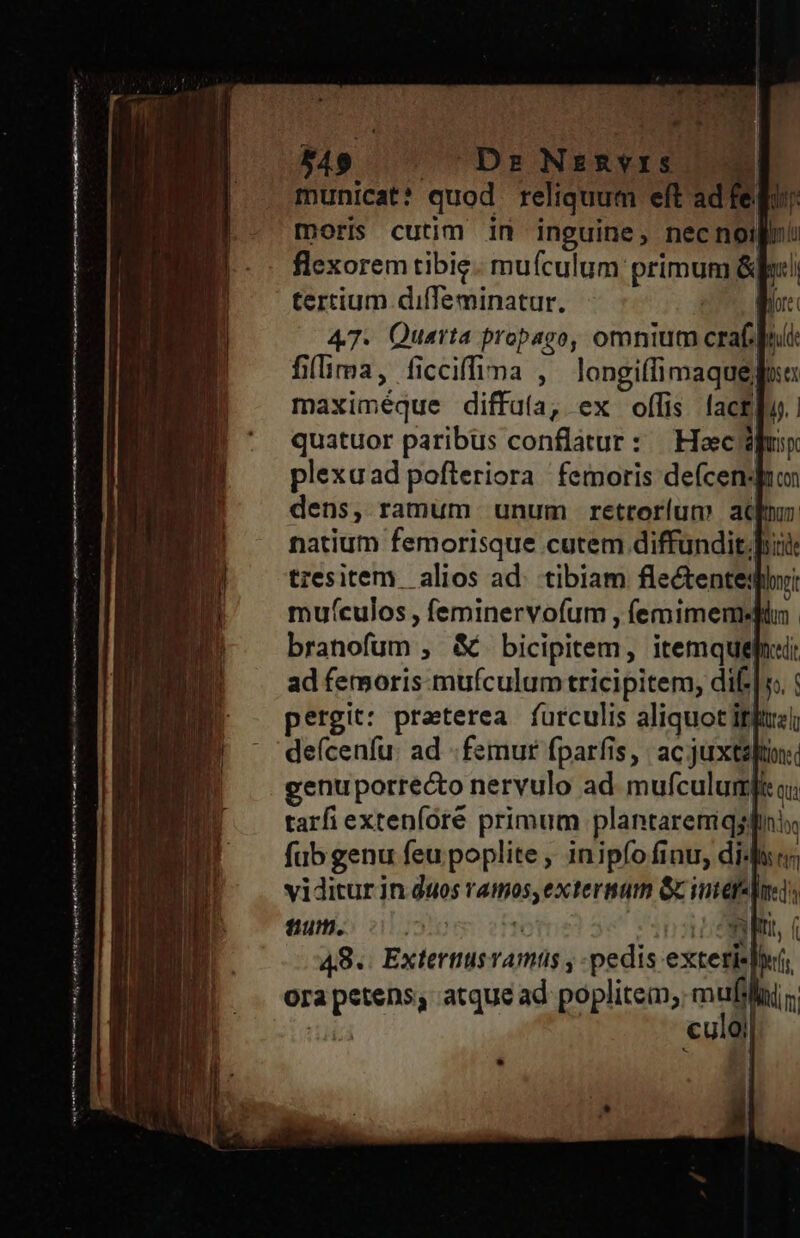 genet mre ma tni conn mt of 5419 Dr NrinvIS municat? quod reliquum eft di | moris cutim in inguine, necnoi flexorem tibie.- muículum: primum &amp;pl tertium diffeminatur. : | 47. Quarta propago, omnium craf. filima, ficciffima , longiffimaque] maximéque diffuía, ex offis lac&amp;lu.: quatuor paribus conflatur: Heec plexuad pofleriora femoris de(cend dens, ramum unum retrorlum at natium femorisque cutem diffundit.ph: tzesitem alios ad. tibiam flectentedihii muf(culos , feminervofum , íemimemesfn. branofum , &amp; bicipitem, itemquepn:ii ad femoris mufculum tricipitem, dili. : ergit: praeterea furculis aliquot itii defcenfu: ad - femur fparfis, | ac juxts genuporrecto nervulo ad mufculurmfiq; fum. 00s T onm 48.. ExtertisvAmtis , pedis exteris ora petens, atque ad poplitem, mM !' ba €UiQi