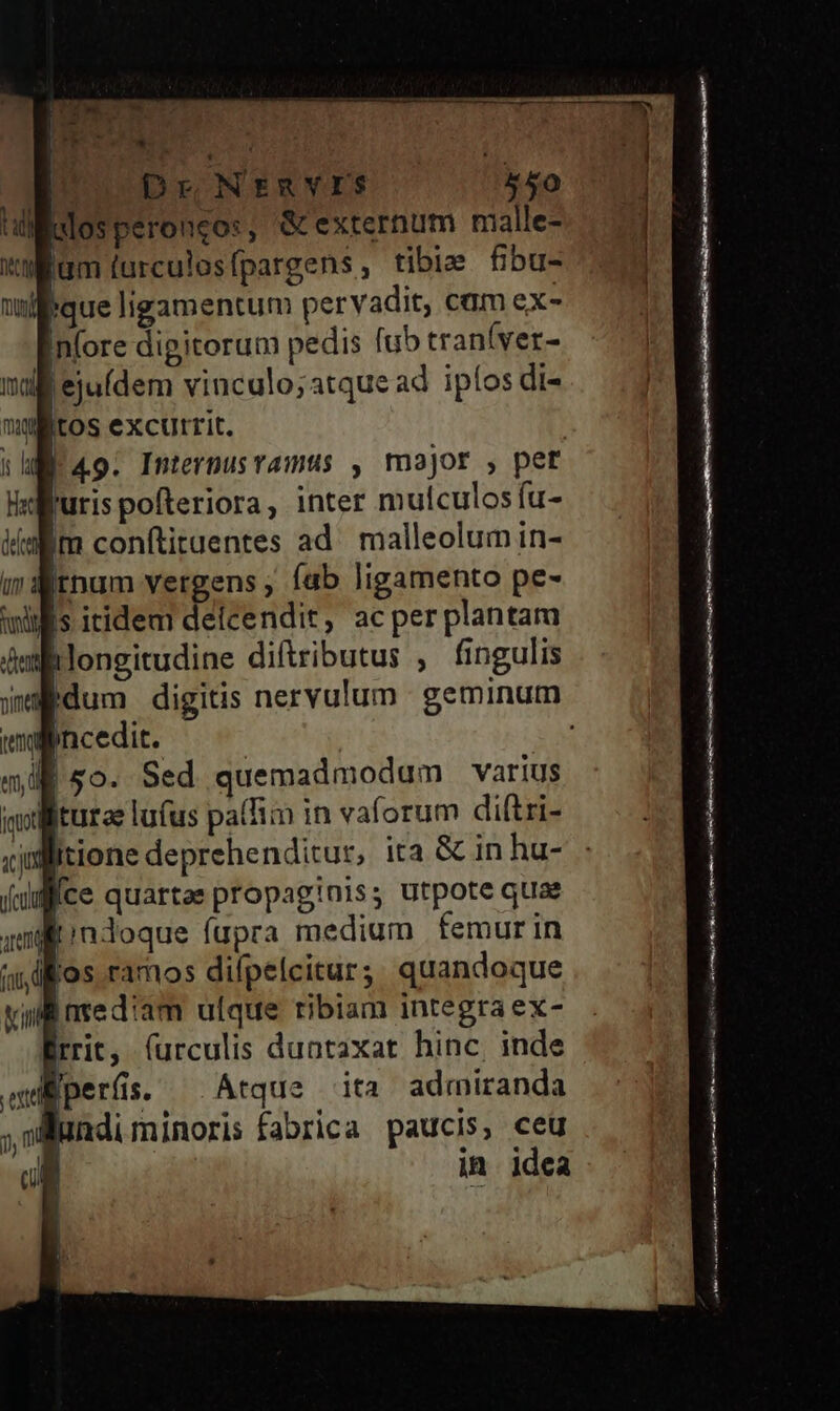 Au da Uu prNrEnvrIS 550 WMosperongo:, &amp; externum mialle- lum (urculosfpargens, tibie fibu- tque ligamentum pervadit, cam ex- infore digitorum pedis fub traníver- IB ejuídem vinculo;atque ad ipíos di- toS excutrit. | qi ao. Internusvamus , mojor , pet luris pofteriora, inter mulculos fu- («m conftituentes ad malleolum in- Irnum vergens ; fab ligamento pe- s itidem delcendit, acper plantam ilongitudine diftributus , fingulis incedit. ni so. Sed quemadmodum varius iulliturae lufus pa(fim in vaforum diftri- «jlitione deprehenditur, ita &amp; in hu- fce quartae propaginiss utpote qua qudikindoque fupra medium femur in jos. ramos difpelcitur; quandoque ntediam ulque tibiam integra ex- Brrit, (urculis duntaxat hinc, inde peris. ^ Atque ita admiranda Mundiminoris fabrica paucis, ceu | in idea p———— BáÓÀ A LE D————Má— oa ——