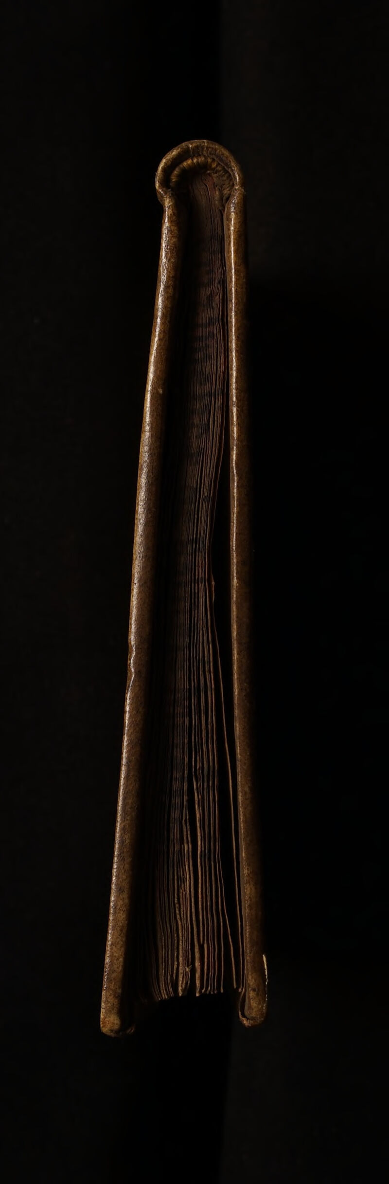 No text description is available for this image