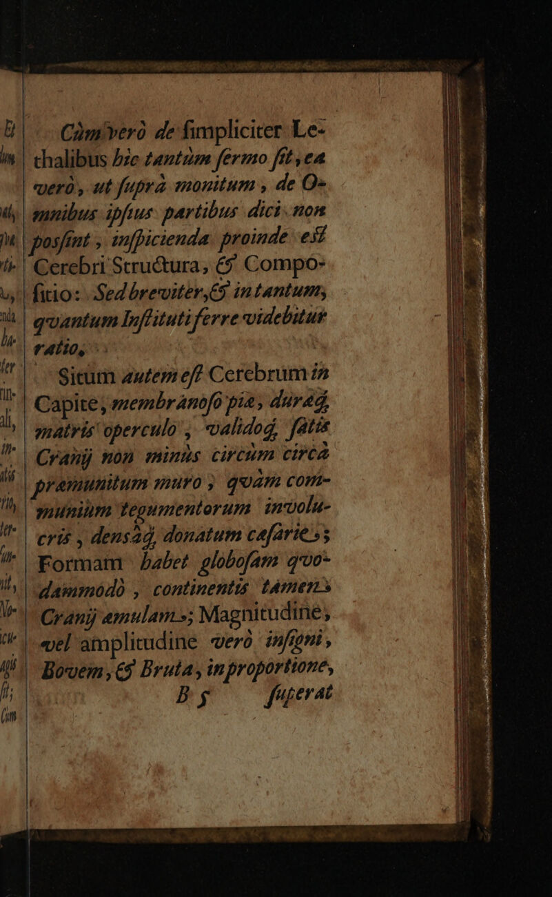 | Cümveró de fimpliciter. Le- thalibus Jze £antum fermo ftt ,ea | qerà , ut fupra monitum , de O- -emnibus ipftus. partibus dici. non posfint y. infficienda proinde esi Cerebri Stru&ura, 69 Compo- | fiio: SeZbreviterG intantum; quantum Inflitutiferre videbitut VAIO, | | Sicum autepi eff Cerebrum is | Capite, membr Anofo pia, durad enatris' operculo , «oalidod, fatta | pramunitum muro qoan Com- suunium tegumentorum involu- Formam | abet globofam q'00- dammódo , continentis: támen» ' Cranij emulam »; Magnitudine, | Bovem,€$ Brula, inproportione, a. ferat