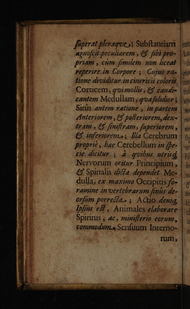 . f'igperat plevageoe 5 Subftantiam agnofcit peculiarem , 69. fibi pro» | priam , cum. fimilem mon liceat reperire.in Corpore ,/ Cujus vds | Hone dividitur in cinericià colorts Corticem, guienolli , €3 candi-: cantem Medullam , gvefelidior ; Sitüs autem ratione , in partem | interiorem ,€9 pofferiorem, dex Iram. €9 fmifiram, fuperiore , € inferiorem»; Illa Cerebrum | gqraprie, bac Cerebellum iz ffe- | cie. dicilur. à. quibus, utrisd, Nervorum oritur. Principium , £5. Spinalis Za. dependet. Me- | dulla; ex .zzaximo Occipitis fo- vamine invertebrarum futs de- orfam porrecia.» ;. AO deni, lofius 632, Animales elaborare - Spiritus , «4c, vaiifferio earum , Comtoduti.s Senfüum Interno- | rum s