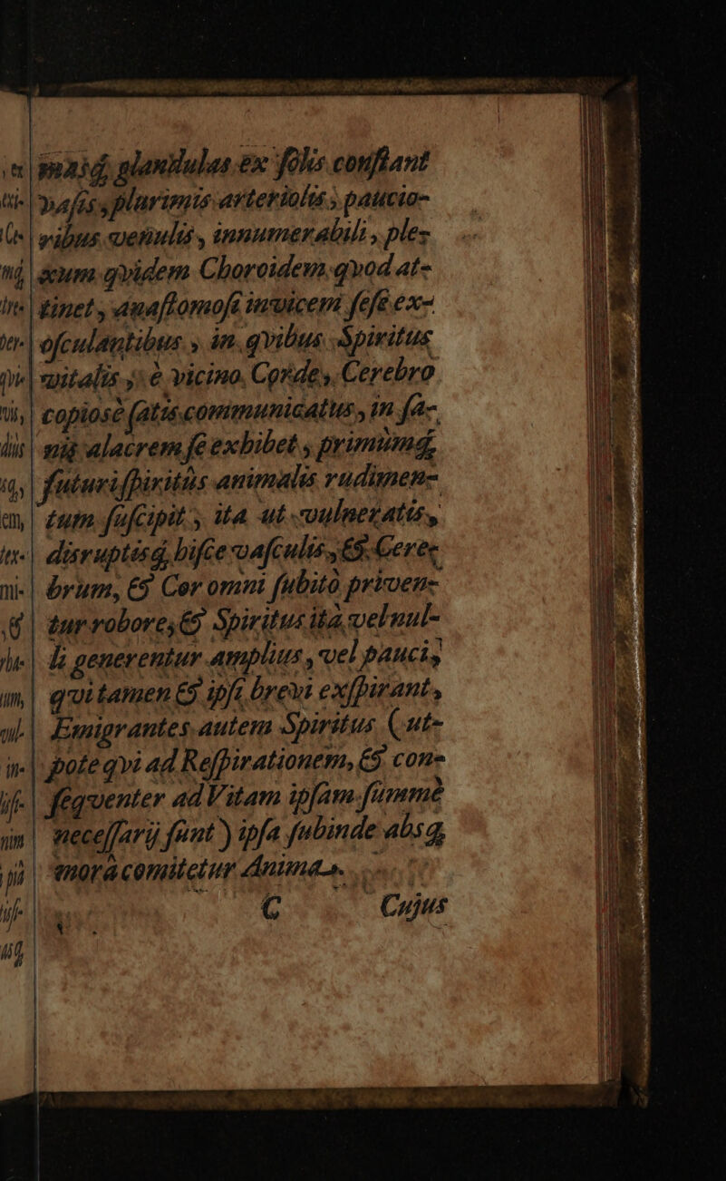 aid, planHules.ex fols confiant ti- ue fogs plarimisartetiolts paucia- 5 abus qenula , inputerabili : ples mj um qvidem Choroidem.qvod at- ins imet y ama ftomoft inuicem fefé ex- r-| ofcudatatibus » dn. qvitius Apiritus hie] xaitealis y: € vicino. Cordes, Cerebro ti | capias (atus communiaatts , tn fa. Àis |-suig alacrem fe exbibet y primum, i9, | futerifpiritis animalis vudinen ay | zur fufcipit s, ità ut coulnezatio, «| ditruptasd, bifce vyuafcults E3. Cerec 1i-| rum, C9 Cor omni fubito prioen- &amp; | tur robore &amp; Spirituc ita veluut- l| di generentur amplius, oel pauci m| quitamen € ipft. reni exfpirant, ai | Emigrantes autem Spiritus (ut- in| poteqw 4d Reffirationem, £$ cone if. | f&amp;guenter ad Vitam ip[am.fummé am! mece]farij fant ) ipfa fubinde 4bsg r enora comitetur Animo. m tif cn C. Cut LEN