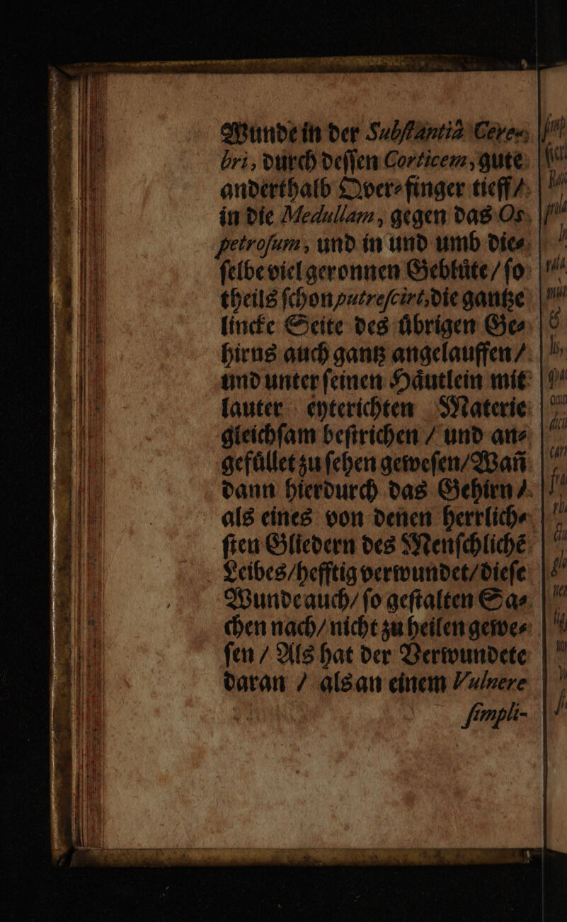 eyioeíti ber SuDantia Ceres, | üri, out (D ocflen Corzicem , gute. anbertbalb £oocrefinger tieff 7: in bic Medullam , gegen 0a8-Os. | petrofum , unb in uno umb oice | feibeoicLaeronnen Gebtüte / fo: tbeilg f':honpurrefcirc bie gaufc [ince € ite oed übrig Ge birng atc gang attáclauffeit 7. tuo untere (einen: dduttein mit fauter | eptericbten | SYtaterie: | 7 díeichfam befiridben / uno ate cfüllet su fcben geipefen/2 afi eaun bierourd) vag Gebim aló cíinee oon oetici Derrlidoe. fica G(fcocrm oc8 Stenfeblidé. € cibee/befftig oermunoct/iefe: eounbcaud/ fo gcftaltem € ae. | ^ ea nad nidtsubeifatgemes | fm / 3if8 bat oer Derounbcte vata 7 al&amp;au cinam Zwsere frnpá-