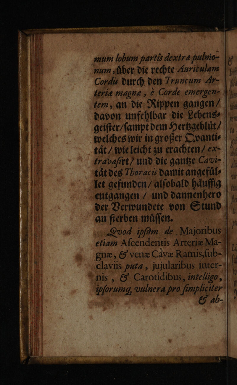 suutn lobum partis dextra puliio- num ,füber oie vedbte Auriculam Cordi ourd) oct Zruocum dr- | uj ltria magna , &amp; Corde emergen- Au, tem, on oic DVippen gange/. |j; bacon unfcbibar oic Zebenéo |, gciftcr/fampt oem Sergeblüt/ |, $oc(chce ivir in groficr £20antis tát / toic [cicht 5u eracbtenz ex- i travafmt/ wo oic gane Cavi | | tátbcg Tooracis vomit atigefülo | Aet aefunben/ alfobalo báuffig | entgaugean/ uno vannenbero | ber Dertunoete eon Cotuno.. eu fierben maet. E d «so vod. ipfim. de , Majoribus | eliam Aícendents Arterie Ma- || [ gna, £9 venz Cave Ramis;fub- | í clavis pata , jujularibus inter-* | nis , €. Carotidibus, imel/igo,, ; ipforumdq, vulnera pro [mphciter