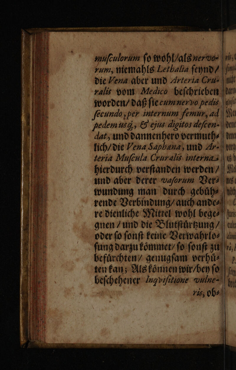 nufculorüm (o twobl/a(g nero | vi yum, niemablg Lezbalia feynoZ | fm Dit Veza abcr uno arteria Crus | ill ralis oon. Medico. bejcbricben jtm iporbcn/ baf fie cummervo pedis | oii fecundo, per internum femur, ad | V pedem usd , €9 ejus. digitos decem Atl dat; uno vannenbero eertmutf» | tui ficb/ oie Vena Sapbana, umo zir«^ wt teria MufGula Cruralis: inteynass | bieronrd) eerftanben erben / || 3) unb aber Derer vayorum 2er wii ivunopig man. ourd gcbübe wf tenoc Qebinbeung/ aud) anbeá! re Dienlicbe SYtittel mobl begeo quen 7 uno oie 2ofntfrürbung /)| ol: oor fo fonft feine Sertvabrfoz | dr fung varju Comntet/ fo fenft 407 befürchten aeaugfam eerbie tei fans; 9 (i fónnentoir/ben fo^ befoebener Jogviaioue. oulue-* 725 0^