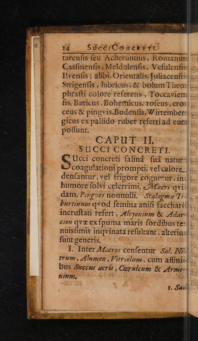 í; QE Ene — - ES a 28d E CN A € *: snp — SUcCICOÓOSEKEfU —— tarenfis (eu Acheruntius, Romanus. Casfinenfis; Meldulenfis; Vefulenfis ; Ilvenfis ; alibi, Orientalis; Tuliacenfis| ;.. Strigenfis , labricus; &amp; bolum Theoo|;... phraft colore referens, Toccaviem ,. fis, Bxttcus , Boheffiicus; rofeus;, cro»! ceus &amp; pingvis,Budenfis, Wirtemberr| ... gicus ex pallido ruber referriad eua) ;. poffunt. VR un CATUT-CTIE SUCCFCONOCRETfTrI--|. &amp;, Ucci concreti faliná. fud natur-ji coagulationi promptb vel calore. |; denfantur; vel frigore cogurrur in:] i. humoreTolvi celerrimi, eIfeeri quii). dam, P;rz2er nonnülli. .tzlépma T7... burtinum qvod femina anifi faccharcd ;.. cion qve exfpuma maris fordibuste: |; nuisfimis inqvinata refültant; alteriu:] ;. funtgeneris ^. | lI. Inter ZZzcro: cenfentur. .$2/7, A1: | Dus Succus acris , Cuynlenm &amp; Mrmel.