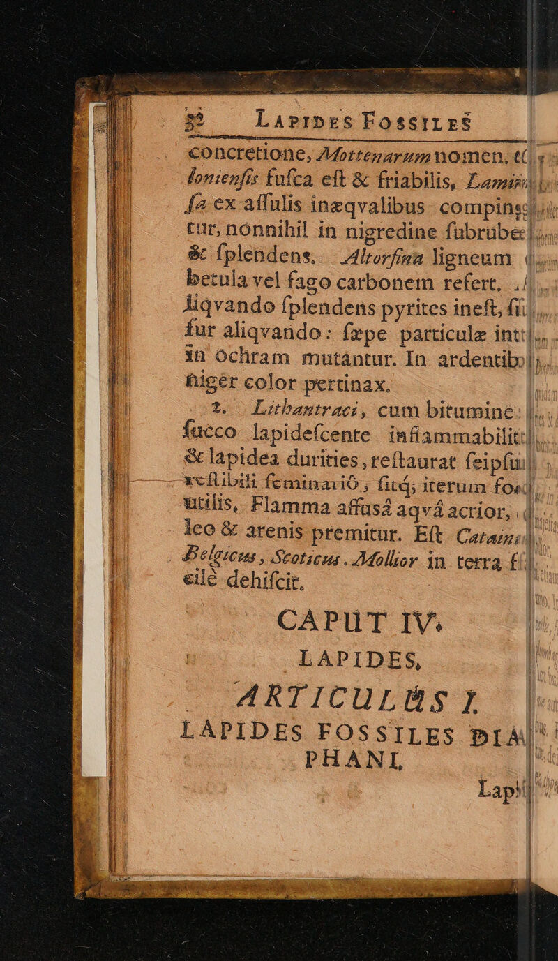 E ei dee X. i z : ge — diia Ll. err em D cia p dd T eec m 5 — Larsrp»es Fosstrzs concretione, Zdorrezarum nomen. t s « lonienfis fufca. eft &amp; friabilis, Lans J4 ex aflulis ineqvalibus- compinst../ tur, nonnihil in nigredine fübrübe:|;... $&amp; Íplendens..4lrorfina ligneum. 4. betula vel fago carbonem refert, ./., Àiqvando fplendens pyrites ineft, fii, ,... fur aliqvando: Ízpe particule int]... . 1n Ochram mutantur. In ardentib;];. higér color pertinax. | 2. Lihbastraci, cum bitumine: |... fucco lapidefcente imüiammabilit:]... &amp; lapidea durities , reftaurat feipfui) ; utilis, Flamma affusá aqvá actior, |... leo &amp; arenis premitur. Eft. Caraz;). eil dehifcit. | CAPUT IV. l LAPIDES, | LO ET ICHENS RI LAPIDES FOSSTILES PIA|. PHANI es d Lapi] E AP] 1? L 4 Bey