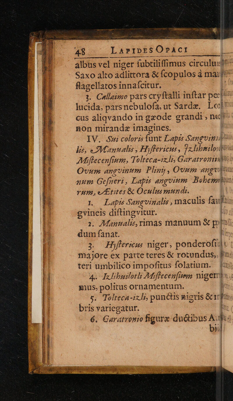 48 JATIRESO SEC, is e albus vel niger fubtiliffimus circulu:j Saxo alto ádlittora &amp; Ícopulos à mai flagellatos innafcitur. 3. Callaimo pars cryftalli inftar pesén lucida, parsnebulofa.ut Sardz. L«eol cus aliqvando in gzode grandi , n«^ non mirandz imagines. vue si coloris funt Laprs songs] pa 5. Manuali, Hyffericus, Sein pna priui THE; Taltéca: ix lis Garatronmi Ovum angvinum Plint , Ovtm angvipütt num Gefneri, Lapts angvium Beobenpbix vHm, e/Etites &amp; Oculus mundi. 1. — Lapts Sangvinalts , maculis faut 1 gvineis diftingvitur. n ;; ioiialis rimas manuum S poni dum fanat. J 3 Hyflericis niger. ponderofti|« | majore ex patte teres &amp; rotundus, ju: teri umbilico impofitus folatium. — [j| 4« Jelibuilotk Afflecenfimm gets tu $us, politus ornamentum. &amp;. Tolteca-1x Lj, punctis gigris &amp;itr ls à bris variegatur. 5 6. Garatronio figure duóibus A. -  - ii]