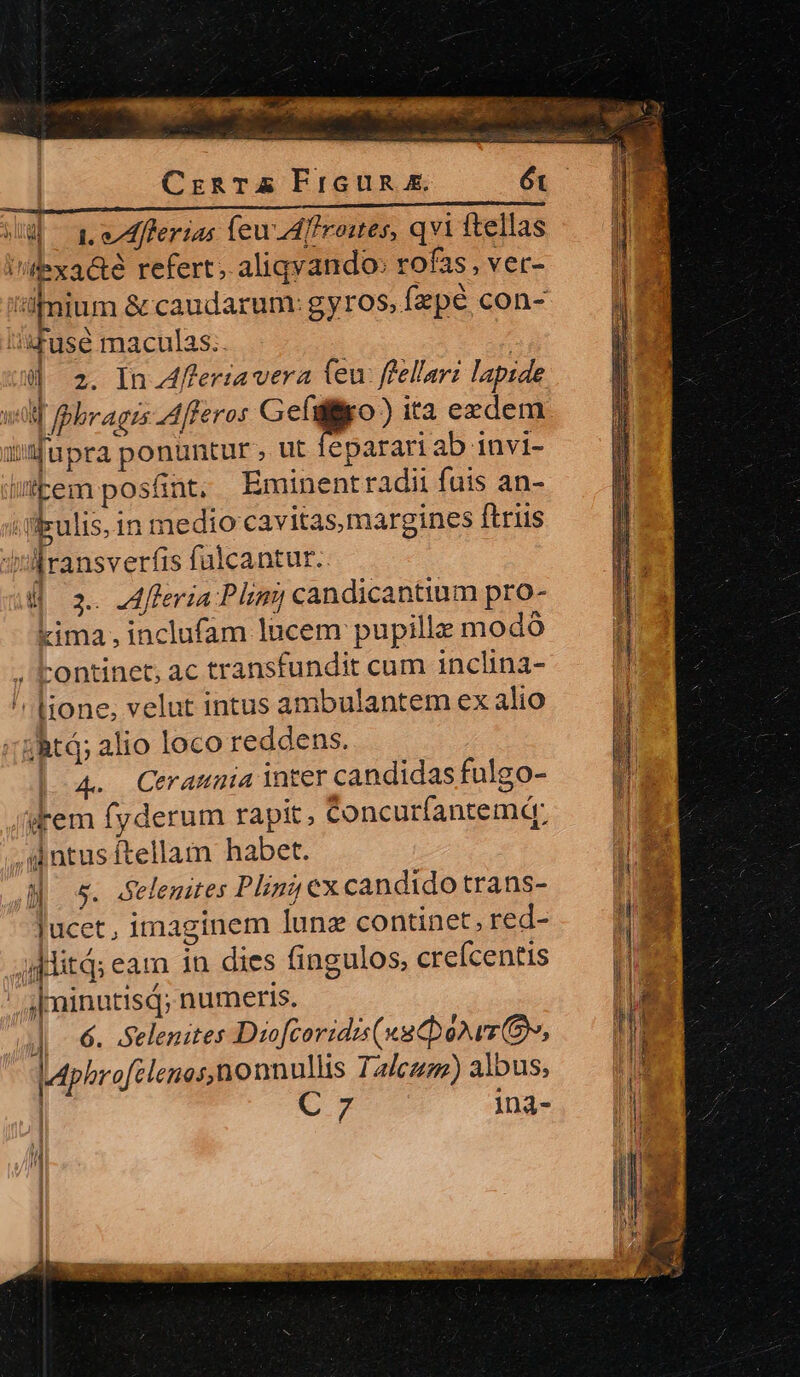 —— d Il sco dip MABARL.7: 15. SCREENED 2l CrznT£X Prcun m. 6t MI cos e Poc EI S ie wu ^ gs oafoeras leudI]roites, qvi ftellas U'ilexac&amp;té refert; aliqvando: rofas , ver- mium &amp; caudarum: gyros,Ízpe con- 4use maculas.. 4 2. In.4feriavera (eu: fellari lapide wa Bbrages AAfferos Geli) ita eedem iupra ponuntur, ut eparariab invi- untrem posfint. Eminent radii fuis an- Vpulis,1n medio cavitas margines ftris ifransverfis fülcantur. Ü x.A4fleria Plon candicantium pro- ima, inclufam lucem pupillz modó -ontinet, ac transfundit cum inclina- item fyderum rapit, Concurfantemd: . lione, velut intus ambulantem ex alio ij ;'iiBtQ; alio loco reddens.  4. Cerammia inter candidas fulgo- ud .dntusítellam habet. AM 5. sSelemites Plng ex candido trans- lucet, imaginem lunz continet, red- 1 dditd; eam 1n dies fingulos, creícenns — Mi Abninutisd; numeris. P NEN J| | 6. Selenites Diofcoridis(x2cboNwr  LAphrofélenos,nonnullis Talcum) albus; | ox ina- n 1