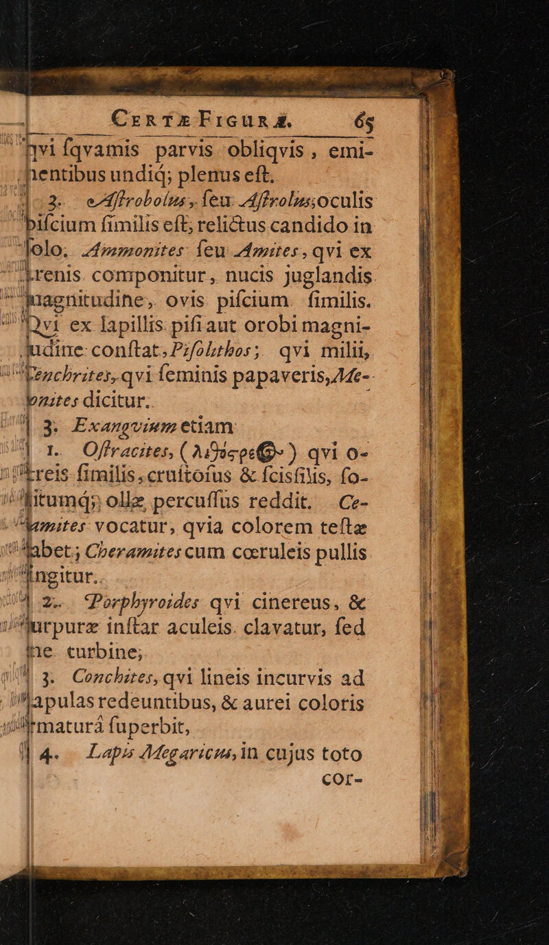 COCHRANE VEWANM lez... aaa MÜDMORE qu Lo ae Curfk FErcGun A. 65 iu —Á hwvifqvamis parvis obliqvis , emi- j pentibus undid; plenus eft. |152-- eMÉrobolus, ieu dffrolus oculis bifcium ii milis eft; relictus candido in olo. Ammonites: íeu onites , qvi ex renis componitur , nucis Juglandis A jagnitudine, ovis pifcium. fimilis. ]2vi ex lapillis pifi aut orobi magni- Judine. conftat. Pzfolthos;. qvi milit, Nenchrites,. qvi feminis papaveris, Z4e- pzztes dicitur. 13 E xangvium edam. | r1. Ofbracites, ( Adice» ) qvi o- ! 'Ereis-fimilis,cruítofus &amp; fcisfiNs, fo- fitumqy olle percuffus reddit. — Ce- Un mites: vocatur, qvia colorem tefte kd (?ARabet Cberamites cum cocruleis pullis ^ 'Ingitur.. QE | 2-. Porpbyroides qvi cinereus, &amp; M jJ mrpurz inflae aculeis. clavatur, fed N ine. curbine; : , : 4l ; i a de es $9 . TL 13 Conchies, qvi lineis incurvis ad uu .Rapulas redeuntibus, &amp; aurei coloris dM. i Wr maturà fuperbit, j 1 j 4- Lapis s Megaricus in cujus toto l cor- n