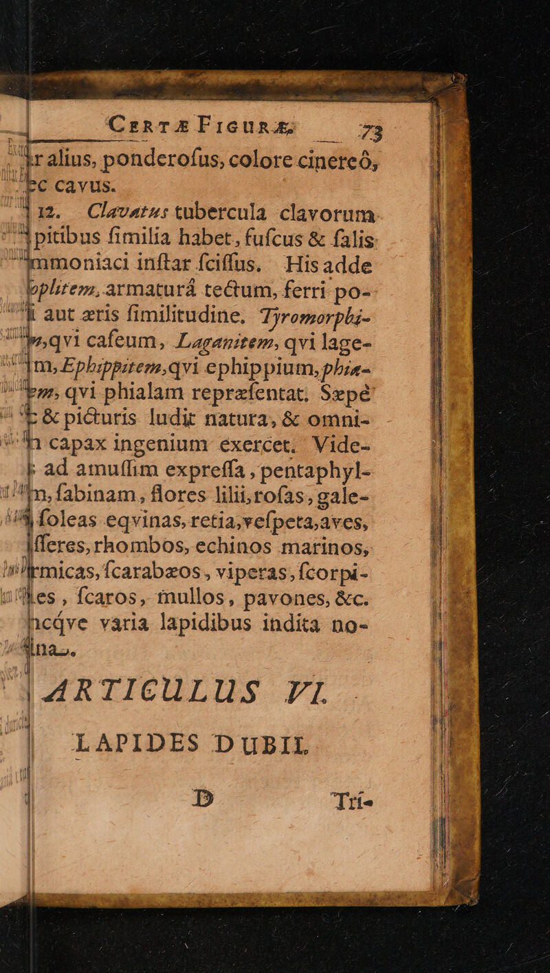 11. Clavatus tübercula clavorum bplirem, armaturá tectum, ferri po- t t &amp; pi&amp;uris ludit natura, &amp; omni- F ad amuffim expreffa , pentaphyl- --- LI [p oreunos echinos marinos, ncdve vária lapidibus indita no- | ARTICULUS VL | LAPIDES DUBIL ] D Tr [^