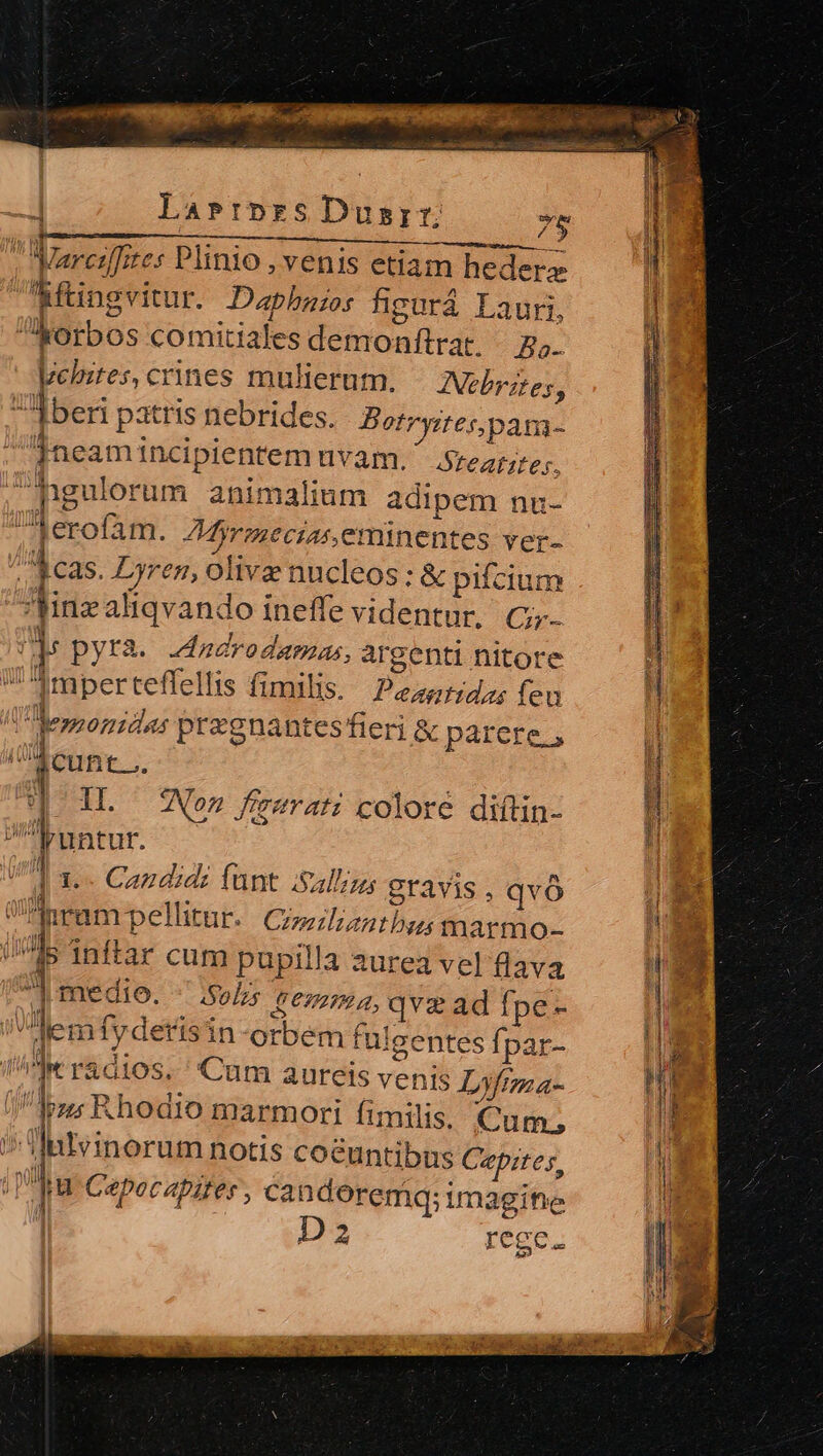 | Larrpres Dusrr. ————— 'PA€—— » ! Rftingvitur. Daphaios figurá Lauri, Morbos comitiales demonftrat. — g;- Vchztes, crines mulierum. INbrites, H | beri patris nebrides. Botryites,pam- . [neami1ncipientem uvam. ' Sreares, hgulorum animalium adipem nu- Jerofam. Z4yrezeciar eminentes ver- Acas. Lyren, olive nucleos ; &amp; pifcium finzaliqvando ineffe videntur, C; s pyra. .dadrodamas argenti nitore J-mperteffellis fimilis. P2454 feu /emmonzdas prxgnantes fieri &amp; parere, Aunt ; IL — Nez feezarat colore diftin- | untur. | 1 1. Cag didi funt. :Sallzg gravis, qvo ÜUAnram pellitur. Gimilizatbus marmo- n T1 p l5 inftar cum pupilla aurea vel flava 1 medio. - iol rema, qvz ad fpe- M dem fyderisin-orbem fülgentes Ípar- i Je r&amp;dios. Cum aureis venis Lifiza- Jus Rhodio marmori fimilis. Cum, Inlvinorum notis coéuntibus Cepites, ul (i '(] HV ui | n Capecapiter, candoremq; imagine D2 rege.