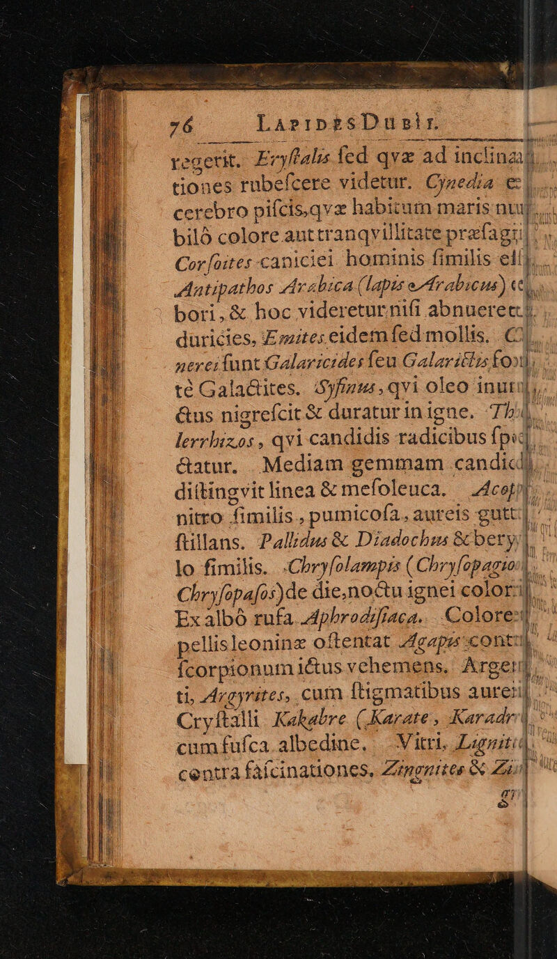T UE QUAM er culi quii ndo 76. LaprrpesDusir t tiones rubefcere videtur. Cygzedia e| biló colore auttranqvillitate prefagri. bori,&amp; hoc videreturnifi abnuerecj. duricies, Emite; eidem fed mollis, .j. té Galactites. Syfizus qvi oleo inui], is lerrbizos , qvi candidis radicibus fp] pt dittingvit linea &amp; mefoleuca. | Tw | pellisleoninz oftentat Agapercont: fcorpionum ictus vehemens, Argeti] ti, drgyrites, cum ftigmatibus aurei | Cryftalli. Kakabre. (.Karate , KaradraA, cum fufca. albedine. | ay ó | P