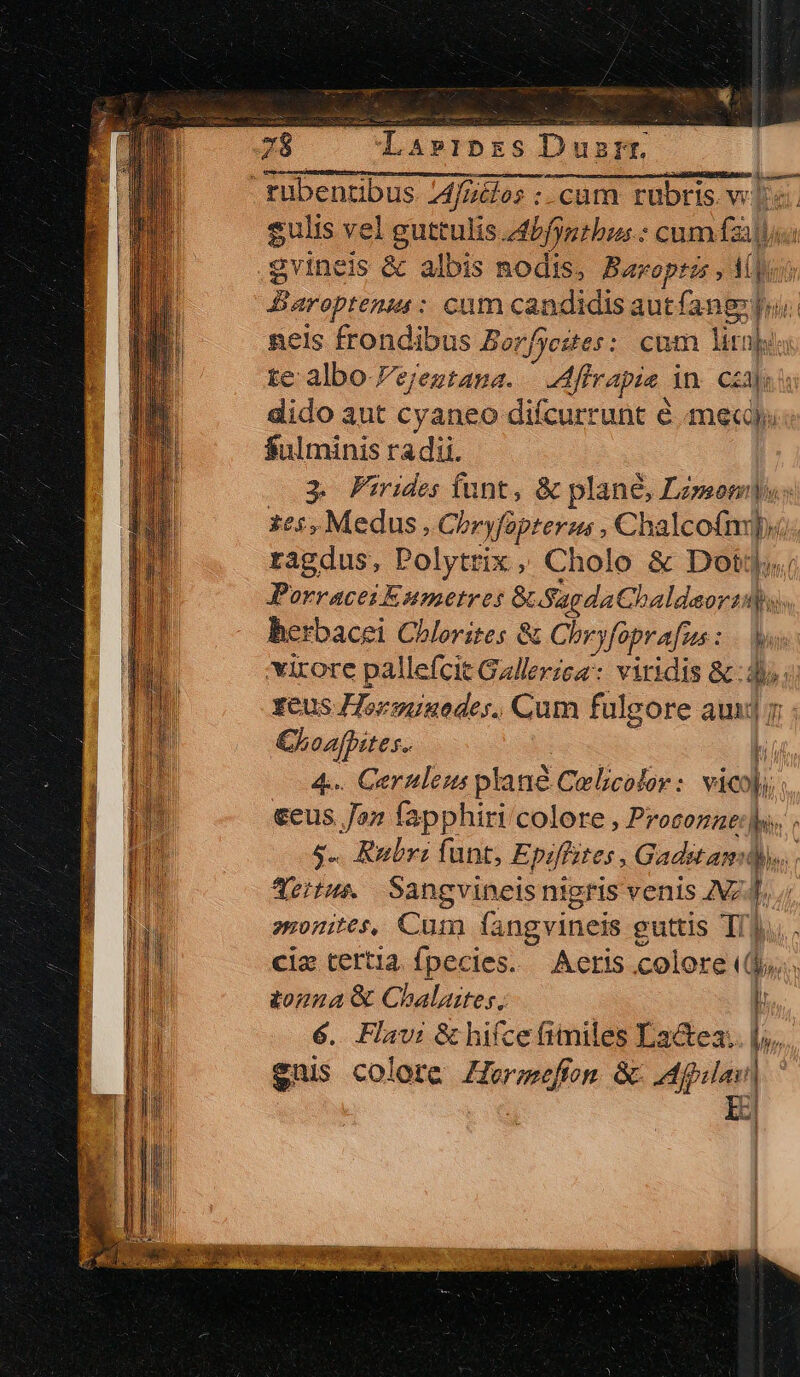 e s] er ALU QEN m d 78 T EIAIS Dus rt. rubenubus Aude; :.cum rubris ws. gulis vel guttulis tfynthas : cum fall; gvineis &amp; albis nodis, Baroprar, T Baroptenia : cum candidis aut f: ne id neis frondibus Berfyestes: cum lira te albo Fejeztana. Affrapie in. caa); dido aut cyaneo difcurrunt é mec) $ulminis radii. 3. Pirides funt, &amp; plane, Lzmem] 165, Medus, Chryfopterzs , Chalco£nvpia: ragdus, Polytrix, Cholo &amp; Dotj; Porracei Eumetres &amp; Sada Chaldaor1d eM: berbacei Chlorites &amp; Chryfoprafus : yi virore pallefcit Galleries: viridis &amp; d» xeus Horsuuodes. Cum fulgore aur: Choafhites.. k 4. Gernlem plane Celicolor : vici; €eus Jon fapphiri colore , Proconae:s. jd $.. Rubr: funt, Epifstes , Gadstam: dies: | deitus Sangvineis nigris venis AZ L : 20HILOS, Cun (angvineis g guttis Thu. ciz tertia fpecies. Aeris colore (d... tonza&amp; Chalaites., 1 6. Flavi &amp; hifcefimiles Lactea.. |. gnis colore Herwefion &amp; filas] i-i Aur |