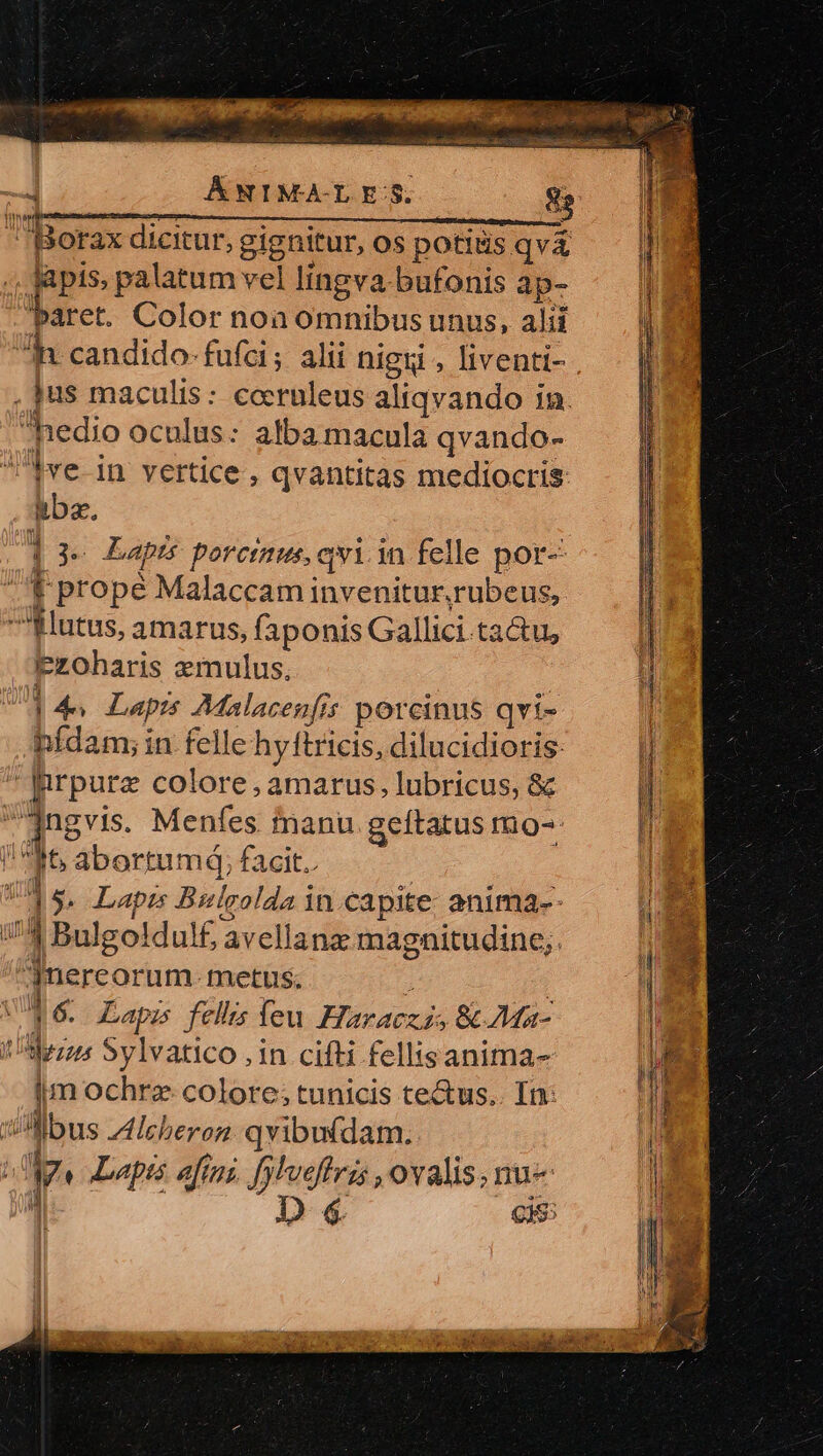 ANIM -Borax dicitur, gignitur, os potitis qva .. apis, palatum vel lingva-bufonis ap- baret. Color noa omnibus unus, alii ih candido-fufci; alii nigxi , liventi- . jus maculis: cccruleus aliqvando in. hedio oculus: alba macula qvando- jve-in vertice , qvantitas mediocris iba, 1 ye Lapts porem, avi in felle por- UE propé Malaccam invenitur, rubeus, fHutus, amarus, faponis Gallici. ide. Pzoharis zrnulus, 44^ Lap; Malacenfis porcinus qvi- bídam;; in felle hy ftricis, dilucidioris: Jnrpurz colore, amarus, lubricus, &amp; aqngvis. Menfes manu geftatus mo- P5 abortumd; facit. | ]5 Lapis Bulgolda in.capite: anima-- //4 Bulgoldul£ avellanz magnitudine;. jme reorum. metus. 16. Lapis fell íeu Haraczis &amp; Ma- Sez Sylvatico , in cifti fellisanima- im ochrz. colore; tunicis te&amp;us.. In: albus Alcheron qvibutdam. j T Lapis aftuz fplveffeis , ovalis, nu l D € E Ci RM e