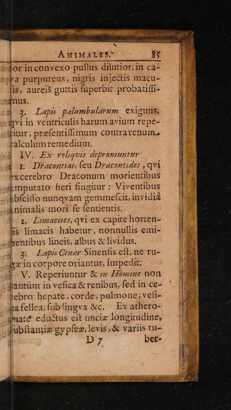 ÁWIMALES^ KR ! ura purpureus; nigris in;iectis macu- minus.. d M in ventriculis harum avium repe- r'alculumremedium. yd IV. Ex rehquis deprommuntum M*xcerebro: Draconum morientibus uilbmputato fieri fingitur : ' Viventibus »idbfcitfo nunqvam g deminefcit invidià aknimalis mori fe fentientis.. - fis limacis habetur; nonnullis emi- lhentibus lineis; albus &amp; lividus. d ox LapsCemer Sinenfis efl, ne ru- Jdyxincorpore oriantur, impedit qv. Reperiuntur &amp; in Hómine non ; flantünr in vefica &amp; renibus, fed 1n.ce-  qrebro: hepate; corde; pulmone; vefi- ala fellea;fublingva &amp;c.. Ex athero- mate eductus cit unciz longitudine, . Juübíftantie gy pfez; levis, &amp; variis tu-