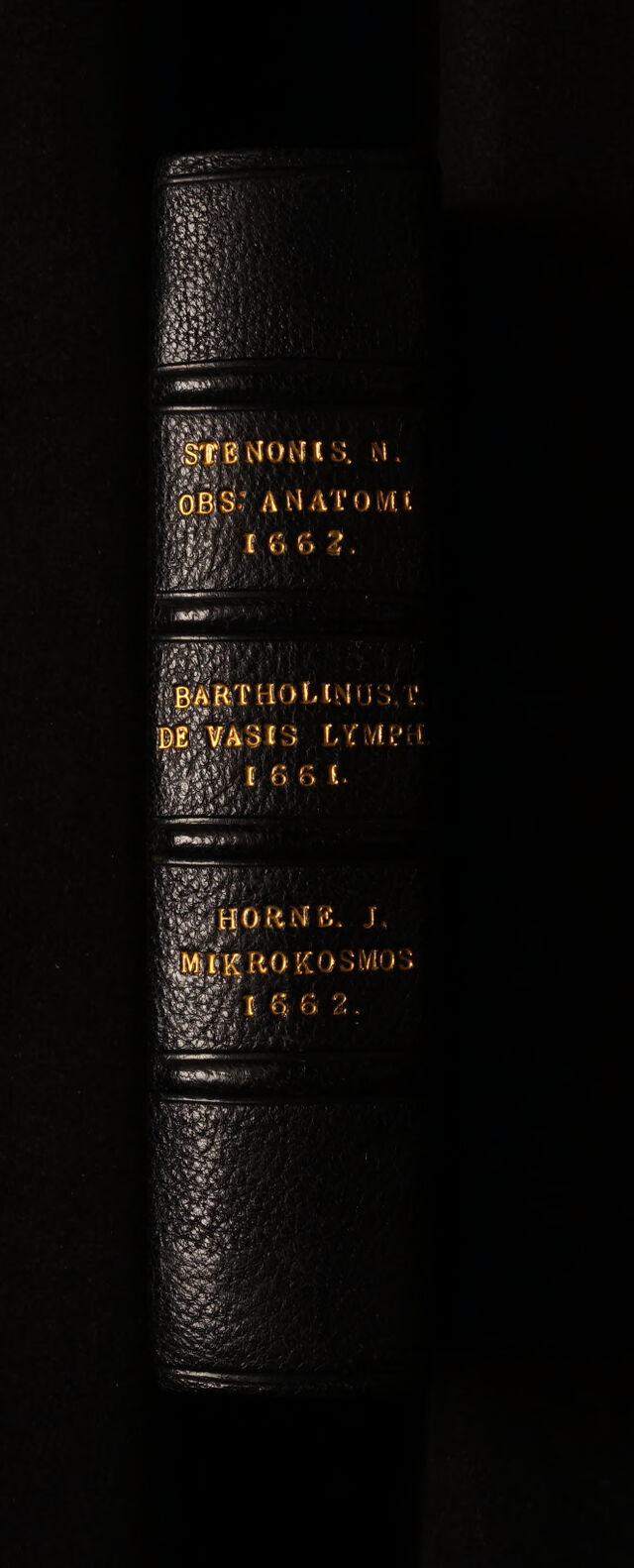 digitised image 2