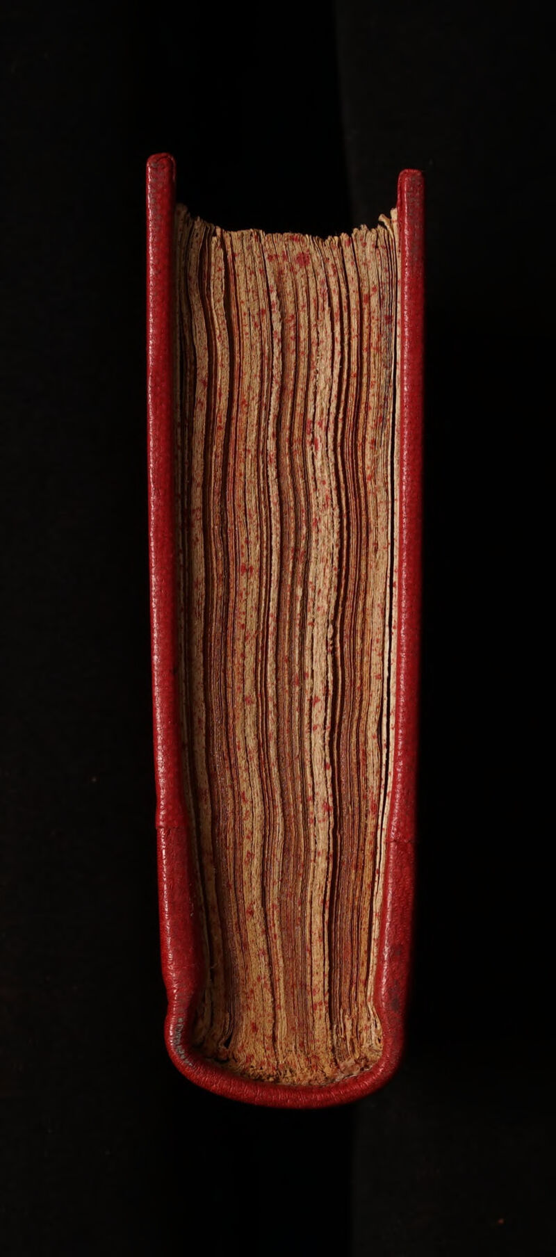 No text description is available for this image