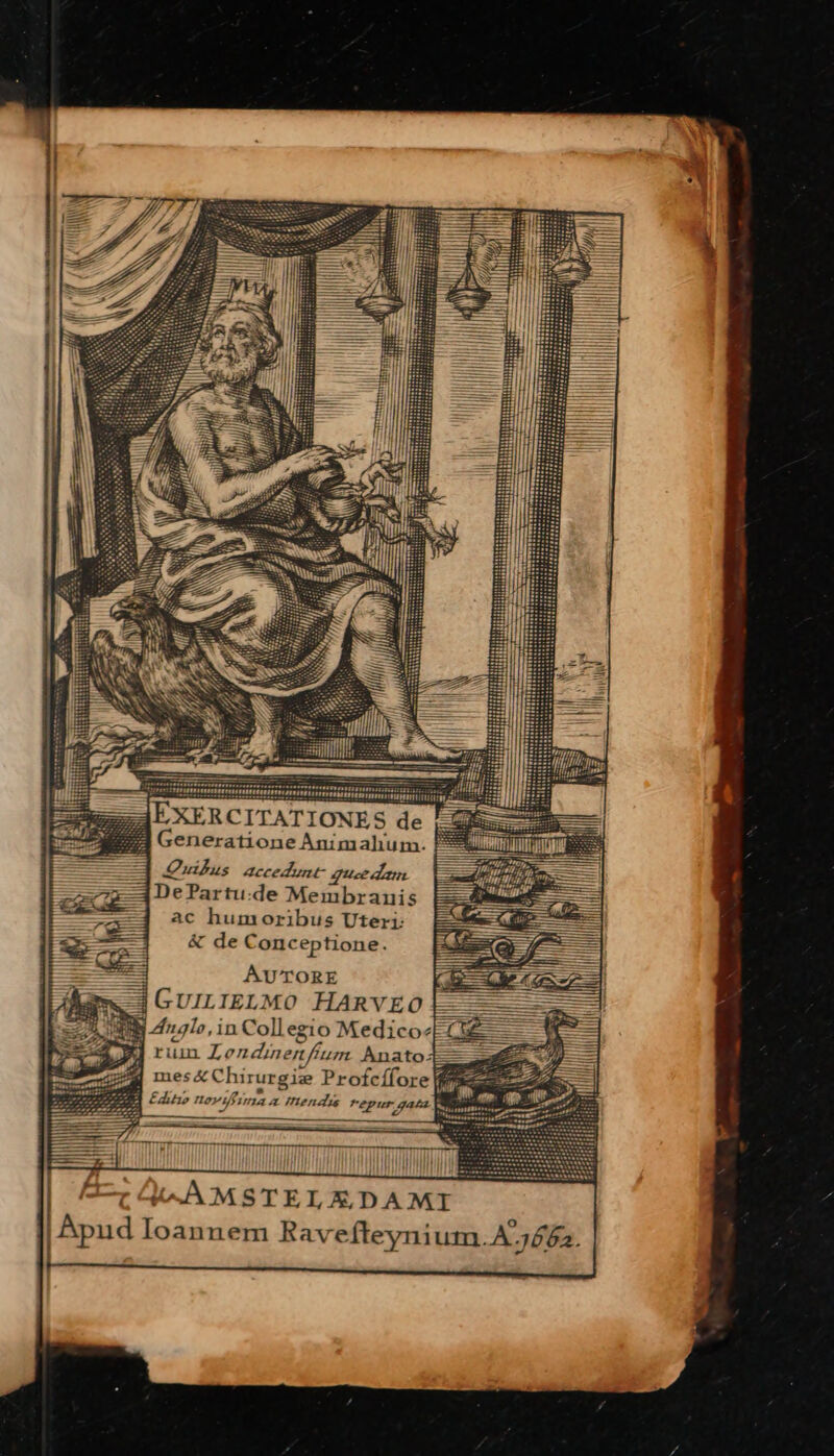 EXERCITATIONES de Generatione Animahum. Quilus accedunt- quee dam DePartu: de Membranis ac humoribus Uteri: &amp; de Conceptione. AUTORE -3 GUILIELMO HARVEO b Zngle, in Coll egio Medico: 7 ruin Londine iem Anzio?