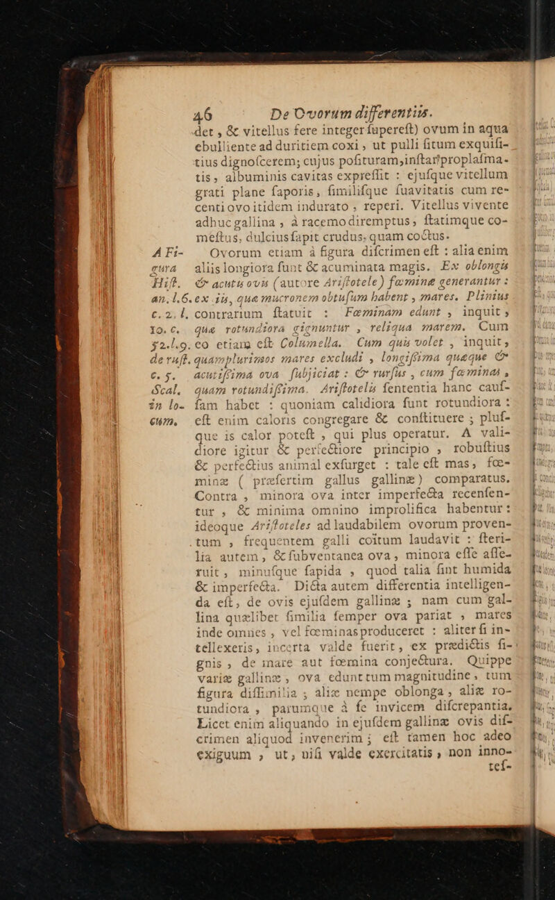 det, &amp; virellus fere integer pide: ovum in aqua ebulliente ad duritiem coxi , ut pulli fitum exquifi- tius dignoícerem; cujus pofituram;inftarproplafma. tis, albuminis cavitas expreffit : ejufque vitellum grati plane faporis , fimilifque fuavitatis cum re- centi ovo itidem indurato , re eperi. Vitellus vivente adhuc gallina ; à racemodiremptus; ftatimque co- meftus. dulcius fa (pis crudus. quam coctus. A Fi- Ovorum etiam à figura. difcrimen eft : alia enim gura aliis longiora funt &amp; acuminata magis. Ex oblongis Hift. 45 acutu ovs (auto e Ariffotele ) famine generantur : an, l.6.ex 15, qua mucronem obtufura babent , mares. Plin 244 £.25 D, contrarium ftatuit : Feminam edunt , inquit; 10.€. dqu4 rotungiora qiQ bd : reliqua zuarezm. Cum 2 ] Q. € $2.l.9. €0 eti ana eft Columella. Cum qui volet , inquit; eraut. quayopluriusos mares excludi , longtféizma queque e €. 5$. Acut tf. ma ova fül jjiciat : e rurfus ,cum f« mind s al. guam GOTT feima Arifloteli5 fententia hanc cauf- in lo. Ííam habct : quoniam calidiora funt rotundiora : €47. cít enim caloris congregare. &amp; contftituere ; pluf- or poteft , qui plus operatur. A vali- diore igitur &amp; pertectiore principio , robuftius &amp; ip cup animalexfurget : tale cft mas; fce- minz ( prefertim g: allus- galinz) comparatus. Contra . minora ov à inter imperfe&amp;a recenfen- tur , &amp; minima omnino impro olifica habentur : ideoque Arz/feteles ad laudabilem ovorum proven- um , freq ucntem galli coitum laudavit : fteri- Mi. autem , &amp; fubventanea ova, minora effe affe- ruit , minufque fapida , quod talia fint humida &amp; i imper fe&amp;a. Dita autem differentia intelligen- da eít, de ovis ejufdem gallinz ; nam cum gal- lina quzlibet fimilia femper ova pariat ; mares ] inde omues , vel feem inas produceret : aliter fi in- gnis, de inare aut foemina conje&amp;ura. Quippe varie galline , ova edunt tum magnitudine, tum figura diffinilia ; alie nempe oblonga ; alie ro- tundiora , parumq ie à fe invicem. difcrepantia, Licet enim aliquando in ejufdem gallinz ovis dif- crimen aliquod invenerim i eít tamen hoc adeo exiguum , ut, nifi valde exexcitatis ; non xu tei-