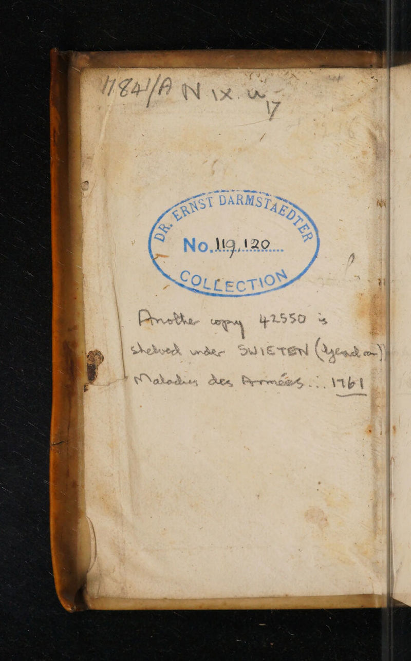 WONuA. oso icd cid S RIS le A. P m oszzunudiud -— v Mt DARMSTI P1 Ww 2 4 4 z ? An e  2 Nolgae.. 7j