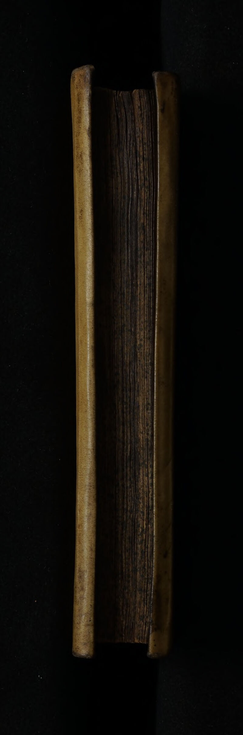 No text description is available for this image