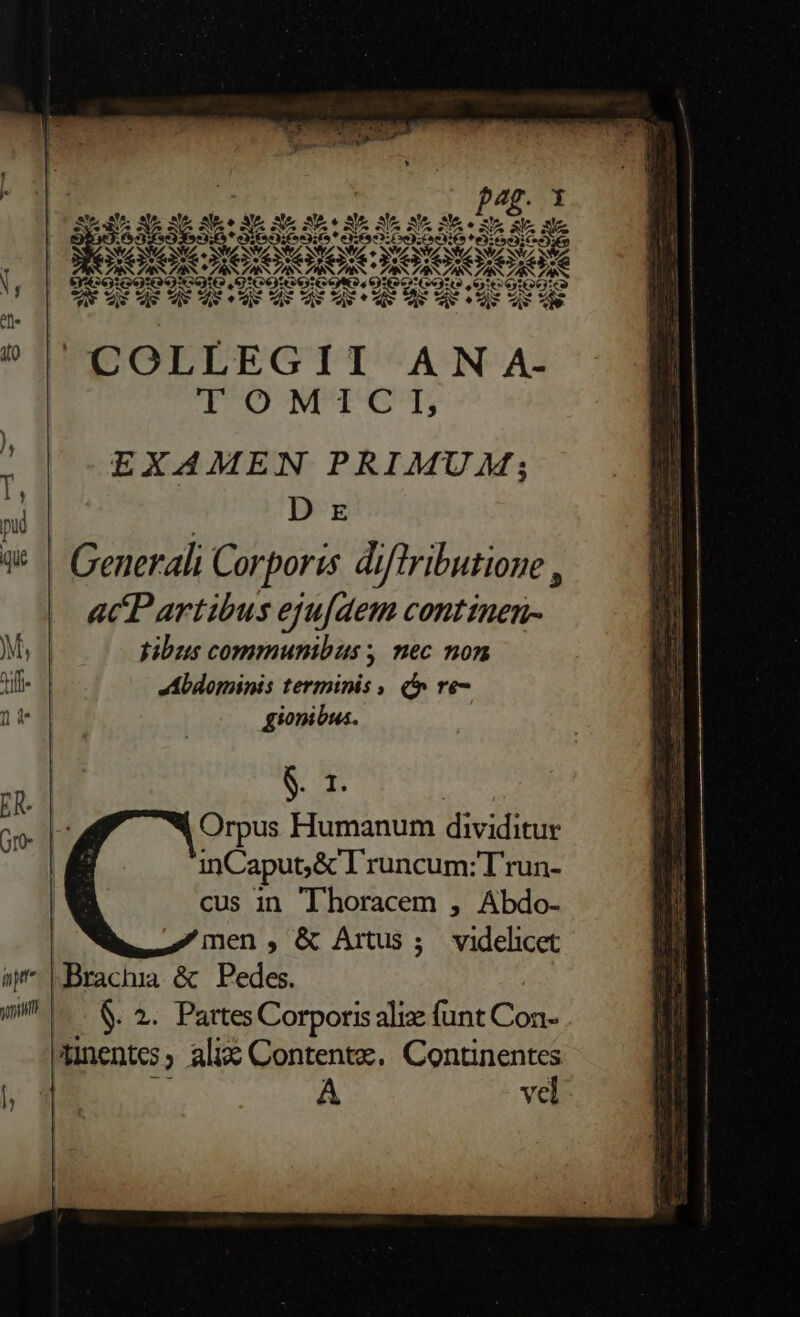 Oy v PRU S ur d S Qux (s * ue Q»». d v d P vw v ix o e d ? [AC s: Z ; 3 3 im SZ NN AE 2a. PAS NS [5 E aed) fe) 4g AS 5. eed] 2 TOMICI; EXAMEN PRIMUM; | D E 3: | Generali Corporis diftributione , acP artibus eu[aem continen- M, pibus communibus , mec non tf- 1 Mdominis terminis , &amp; re- da 13 gionibus. | dius ER- S d og dt Orpus Humanum dividitur inCaput;&amp; l'runcum:T'run- cus in Tlhoracem , Abdo- | men, &amp; Artus; videlicet oj Brachia &amp; Pedes. | i |... &amp;. 2. Partes Corporis aliz funt Con- unentes, alix Contente. Continentes í 9 |  A vel