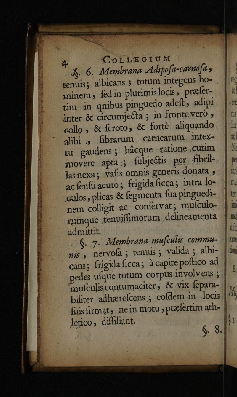 '&amp;. 6. Membrana Adipofa-cavno[a s tenuis; albicans ; totum integens ho- . minem, fedin plurimis locis; praer- tim in qnibus pinguedo adeft, adipi inter &amp; circumjecta ; in fronte vero » collo, &amp; fcroto, &amp; forte aliquando alibi ., fibarum carnearum intex- tu gaudens; hácque ratione ,cutim movere apta; fubjeóts per fibnl- lasnexa; vafis omnis generis donata , acíenfüacuto; frigidaficca; intra lo- eulos , plicas &amp; fegmenta fua pinguedi- nem colligit ac confervat; mulculo- rumque tenuiffimorum. delineamenta admittit. (S. 7. Membrana mu[culis commau- pi, netvofa ; tenuis ; valida ; albi- cans; frigida ficca; àcapite poftico ad pedes ufque totum corpus involvens ; mufculiscontumaciter, &amp; vix fepara- biliter adharefcens ; eofdem in locis fuss firmat, nein motu » ptelertim atb- letico, diffiliant. | n | ! | ]