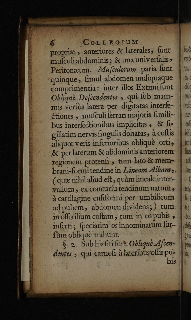 6 «Conr EGruM roprie , anteriores &amp; laterales, funt mufculi abdominis ; &amp; una univerfalis » quinque, fimul abdomen undiquaque mis verfus latera per. digitatas interfe- bus interfe&amp;tionibus implicitas , &amp; fi- gillatim nervis fingulis donatas ; à coftis &amp; per laterum &amp; abdominis anteriorem. ( quz nihil aliud eft , quàm lineale inter-- à cartilagine enfiformi per umbilicum in offisilium coftam ; tum in os pubis , inferti; fpeciatim osinnominatum fur-- füm obliqué trahunt. dentes , qi carnofi à lateribus'offis pu- bis