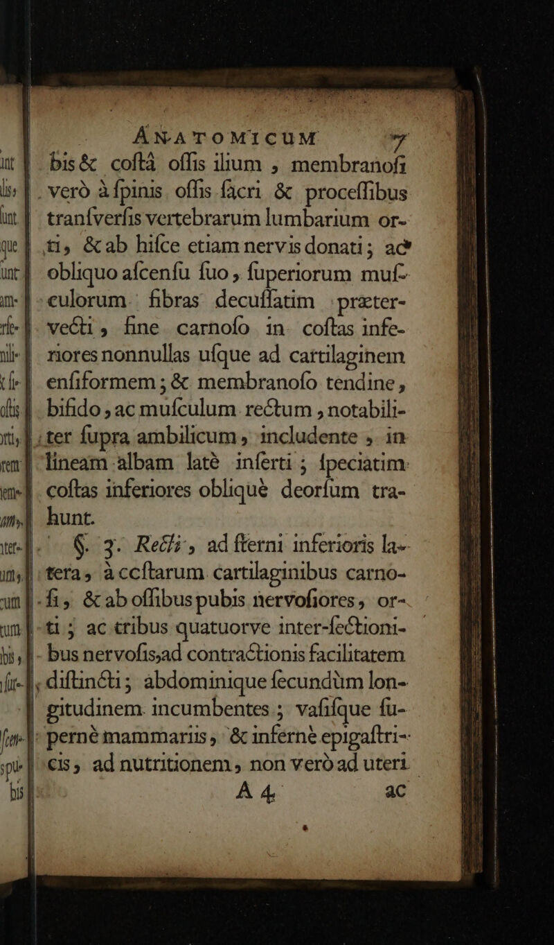 | bis&amp; coftà offis ilium , membranofi |. veró àfpinis. offis facri &amp; proceffibus traníverfis vertebrarum lumbarium or- ti; &amp;ab hifce etiam nervisdonati; ac obliquo aícenfu fuo , fuperiorum muf- culorum. fibras decuffatim | prater- vedi, fine carnofo in. coflas infe- l-| riores nonnullas ufque ad cartilaginem | enfiformem ; &amp; membranofo tendine, |. bifido; ac muículum rectum , notabili- | ter fupra ambilicum , includente ,. in lineam albam laté inferti ; fpeciatim. |. coftas inferiores oblique deorum tra- | hunt. (^ &amp; 3. Reti, ad ftermi inferioris la- |, tera, àccftarum cartilaginibus carno- fi; &amp;aboffibuspubis nervofiores, or- |-ti 5 ac tribus quatuorve inter-fe&amp;tioni- |- busnervofis;ad contractionis facilitatem l difinéi; abdominique fecundüm lon- | gitudinem. incumbentes ;. vafifque fu- i|: perné mammariis , '&amp; inferne epigaftri- |'€Is; ad nutrinonem , non vero ad uteri