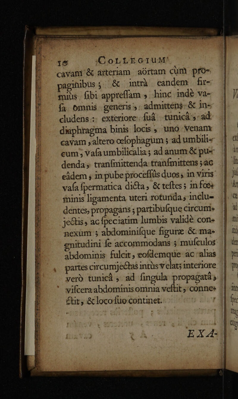 cavani &amp; aiteriam aórtam cum pfó- pagitibus ;..&amp; inttà eandem fr- mius. fibi appreffam ,..hinc inde va- ía Omnis generis admittens- &amp; in- cludens.;. exteriore. fuá tunica - ad diiphragma binis locis. uno. venanx càvam ,altero oefophagum 5 ad umbili« cum; vafaumbilicalia ; ad anum &amp; pu« denda, tranfmittenda: tranfmittens ac eadem , in pube proceffüs duos; in Vins vafa fpermatica di&amp;a, &amp; teftes ; in foe» minis ligamenta uteri roturida ; inclu- dentes, propagans ; partibuíque circunis jectis , ac Ípeciatim lumbis validé cons nexum 5 abdominifque figure &amp;: ma- nitudini fe accommodans 5 mufculos abdominis fulcit , eofdemque- ac -alias partes circum) ectas intüs v elat; interiore vero tunicà ; ad fingula propagatà » vifcera abdominis omnia veftit ;; connes £tit &amp; locofuo continet.