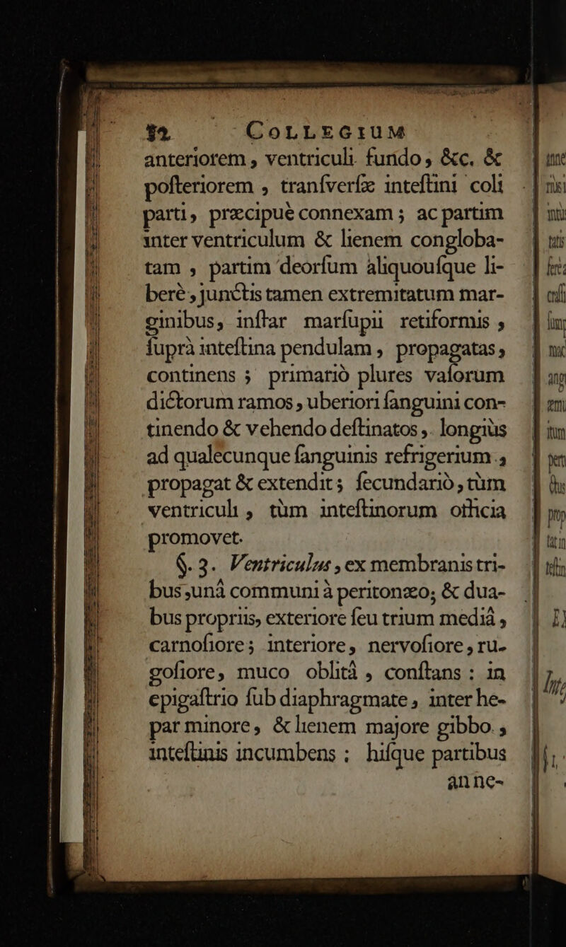 54. CoLLEGI:UM anteriorem , ventriculi. fundo , &amp;c. &amp; pofteriorem. tranífverfz 1nteftini colt parti precipue connexam ; ac partim inter ventriculum &amp; POM congloba- tam , partim deorfum àliquouíque li- bere; junctis tamen extremitatum mar- cinibus, infrar maríupu retiformus ; fuprà inteflina pendulam » propagatas, continens ; primario plures vaforum dictorum ramos ; uberior fanguini con- tinendo &amp; vehendo deftinatos ,. longius ad qualecunque fanguinis refrigerium.  propagat &amp; extendit 5. fecundarió , tüm ventriculi , tüm inteftinorum | othicia promovet. $8.3. Ventriculus , ex membranistri- bus;unà communi à peritonzo; &amp; dua- bus propriis, exteriore feu trium mediá , carnofiore; interiore, nervofiore , ru- gofiore, muco oblità , conítans : in cpigaftrio füb diaphr agmate , inter he- parminore, &amp;lienem majore gibbo. ; intefunis incumbens ; hifque partibus anne-