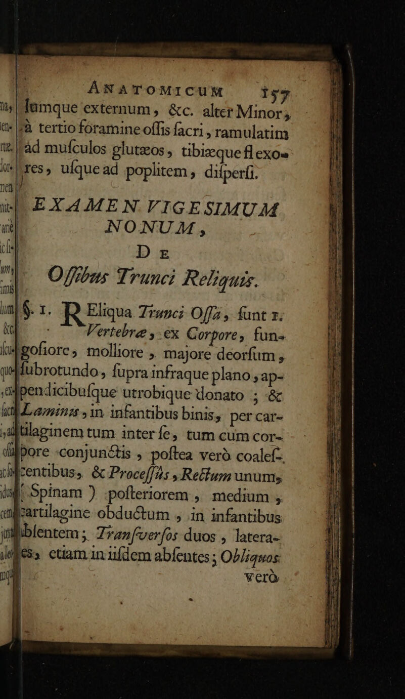 ÁNATOMICUM 1s7 lamque externum, &amp;c. alter Minor » *|Jà tertio foramine offis facri , ram ulatiti tt. |àd mufculos glutaos , tibique fl exo» J| EXAMEN VIGESIMUM 3l NONUM, D E O/ffbus Trunci Relzquis. |&amp;. 1. R Eliqua 7»»c Off , funt 1. AER Vertebree ,- ex Corpore, fun- Cgofiore; molliore » majore deorfum , qe fubrotundo » fupra infraque plano ,ap- ajpendicibufque utrobique donato ; &amp; in Laminzs , in. infantibus binis, per car- ,u tilapinem tum interíe, tum cum COr- dilbore «conjunctis , poftea veró coalef-. pMzentibus, &amp; Proce//4s ,Retiur unums is! Spinam ) ;pofteriorem , medium , rartilagine obductum , in infantibus utfiblentem ; Tranfverfos duos , latera- Wess etiam.in iifdem abfentes; Obliquas j|] verà pepe erecue mos ge mode T 2: cx A Lr - ERN — E RU ETE n ET mirer LX LI. C Roi GEDVAAY iXEECI A i: TUR TE aU EE ris T Ue TE