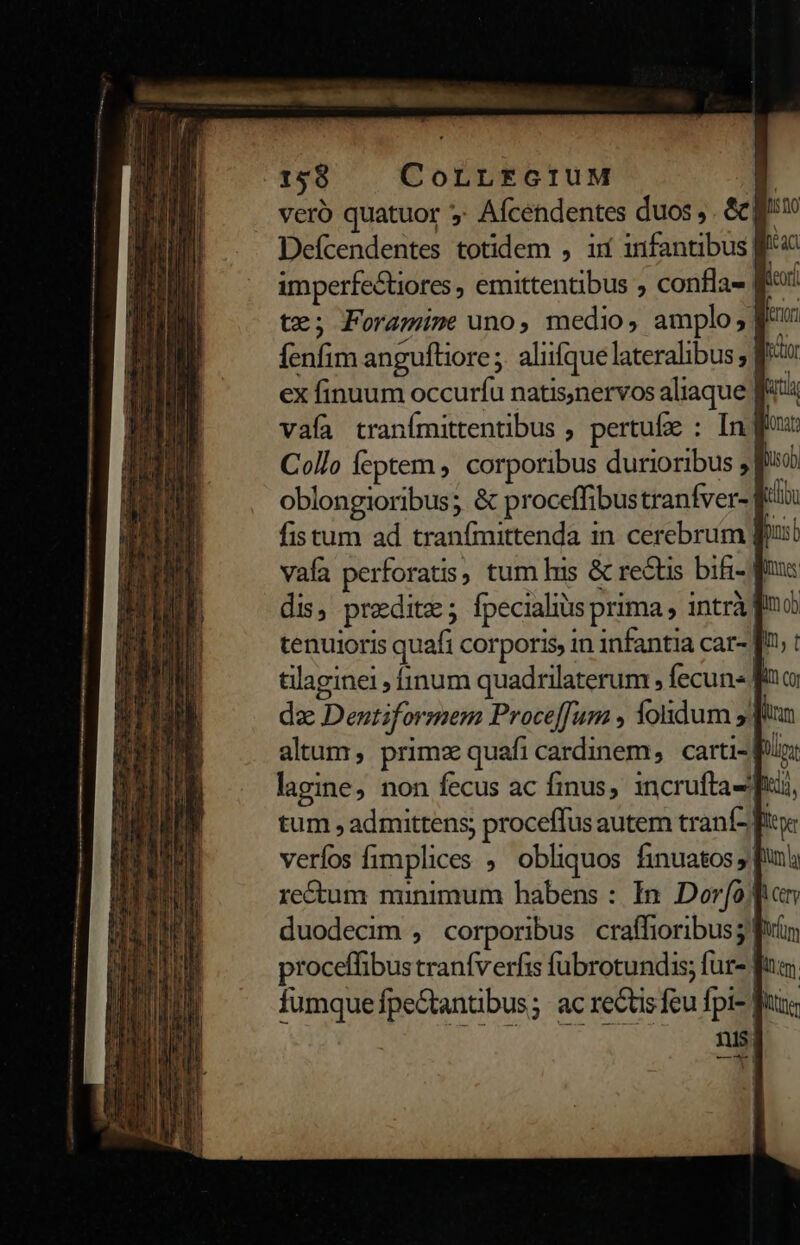 vero quatuor ?: Afcendentes duos ,. &amp; ^ Defcendentes totidem , ir infantibus f imperfectiores , emittentibus ; confla- fie: te; Foramime uno, medio, amplo; f** fenfim anguftiore;. aliifque lateralibus , f^ ex finuum occurfu natis,nervos aliaque f vafa tranímittentibus , pertufe : In ff Collo feptem, corporibus durioribus j f^ oblongioribus; &amp; proceffibustranfver- fr fis tum ad tranímittenda in. cerebrum fus vafa perforatis, tum lus &amp; rectis bifi- f dis, preditz; fpecialius prima , intrà| tenuioris quafi corporis, in infantia car- tilaginei rínum quadrilaterum , fecun- T dz Dentiformem Proceffum , ondum 5 altum, primz quafi cardinem, carti- li lagine; non fecus ac finus, incrufta- fi tum , admittens; proceffus autem tranf P verfos fimplices , obliquos finuatos; re&amp;um minimum habens : In. Dorf)